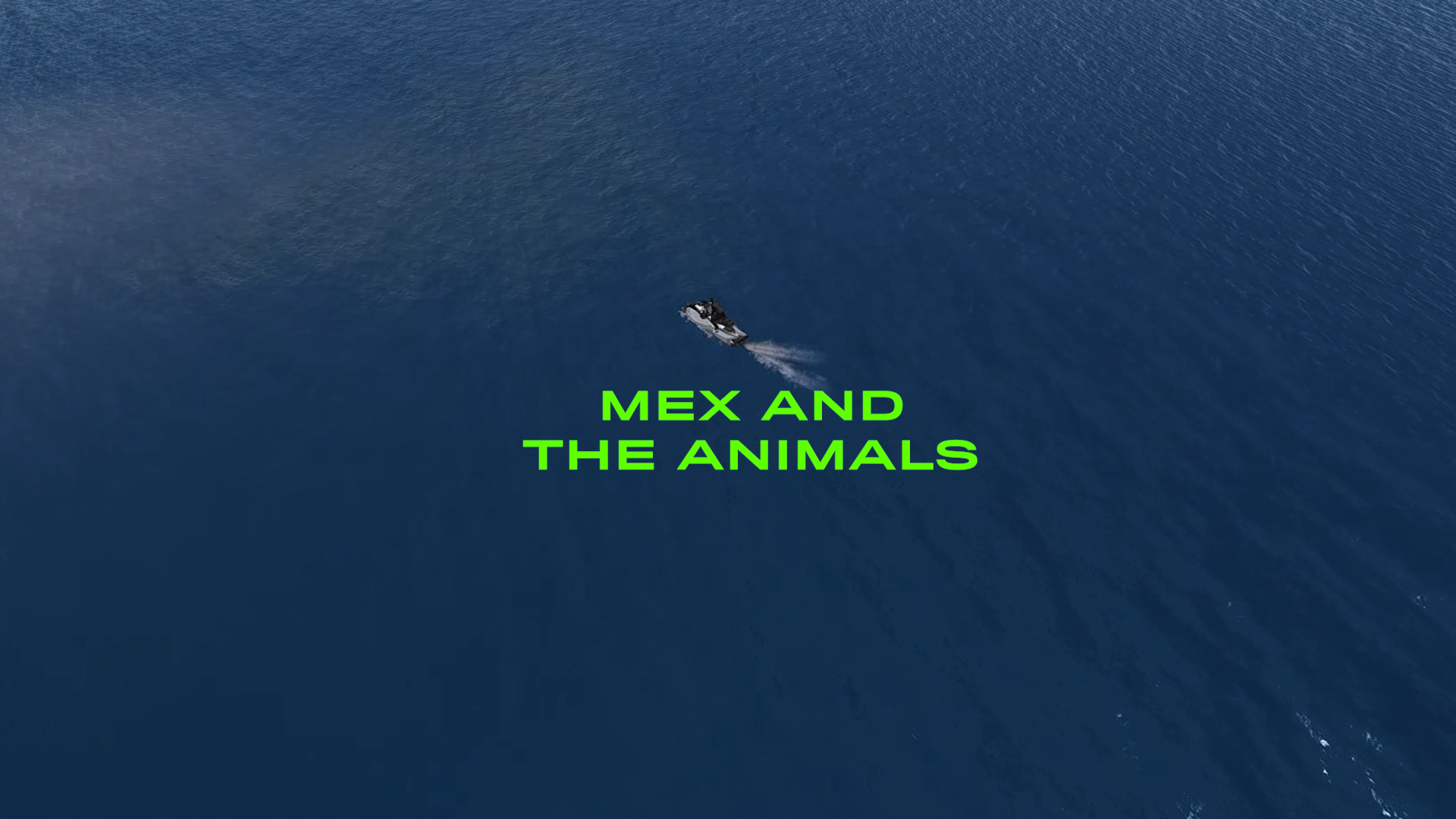 Mex et les animaux