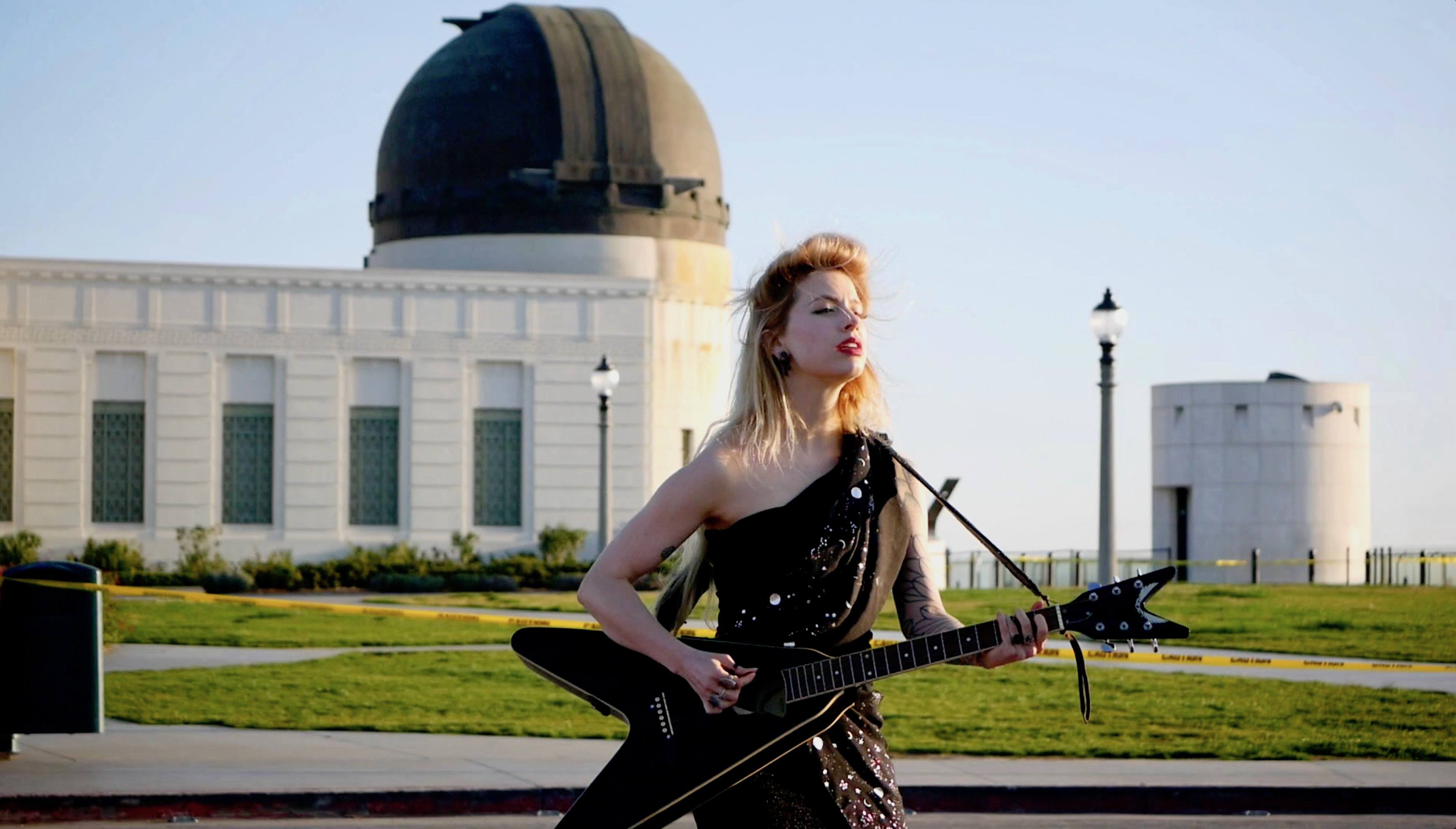 Lights in the Forest V