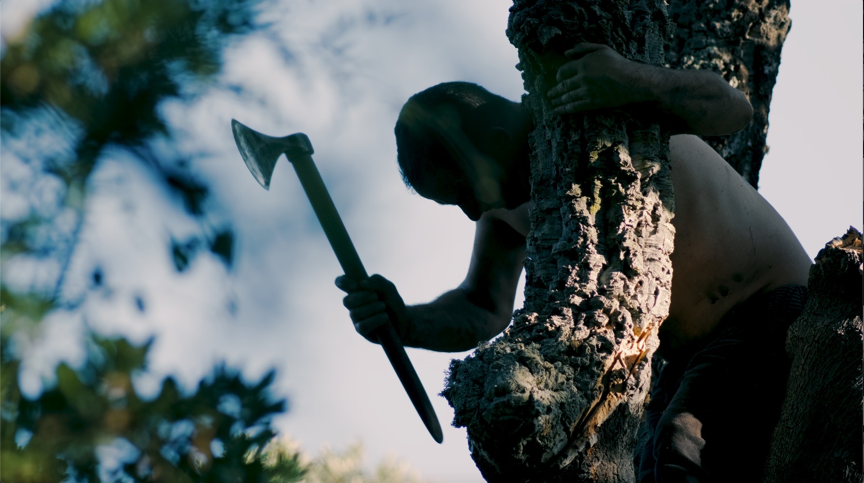 Padenti/Foresta