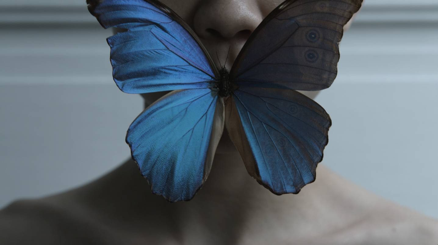 Chuang Chou‘s Dream