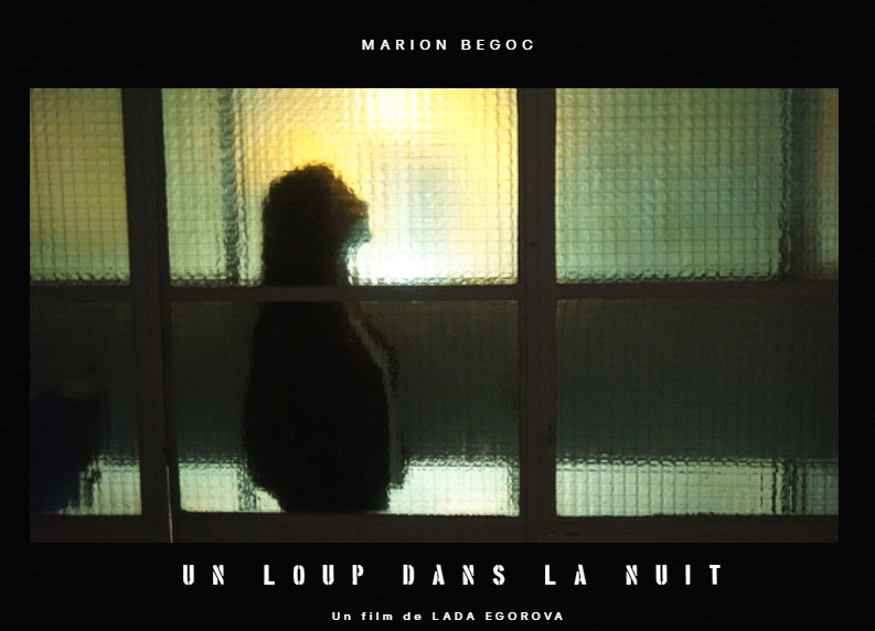 Un loup dans la nuit