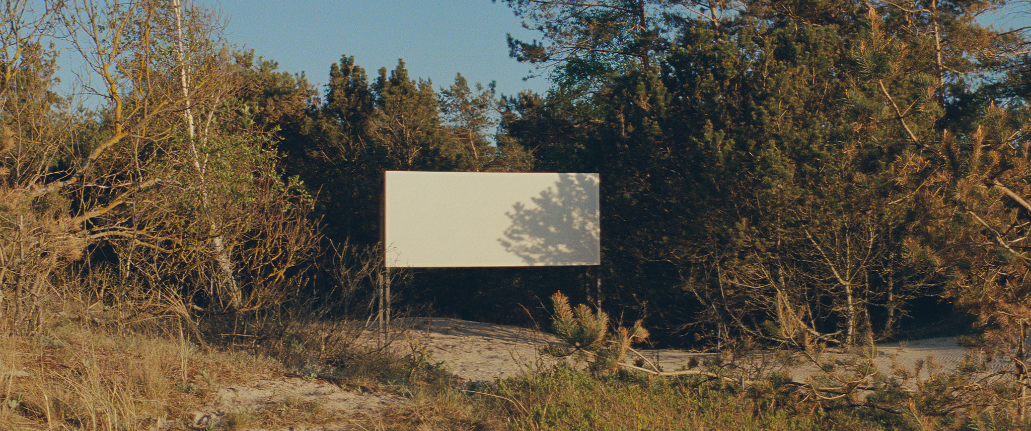 A Proposal to Project in Scope