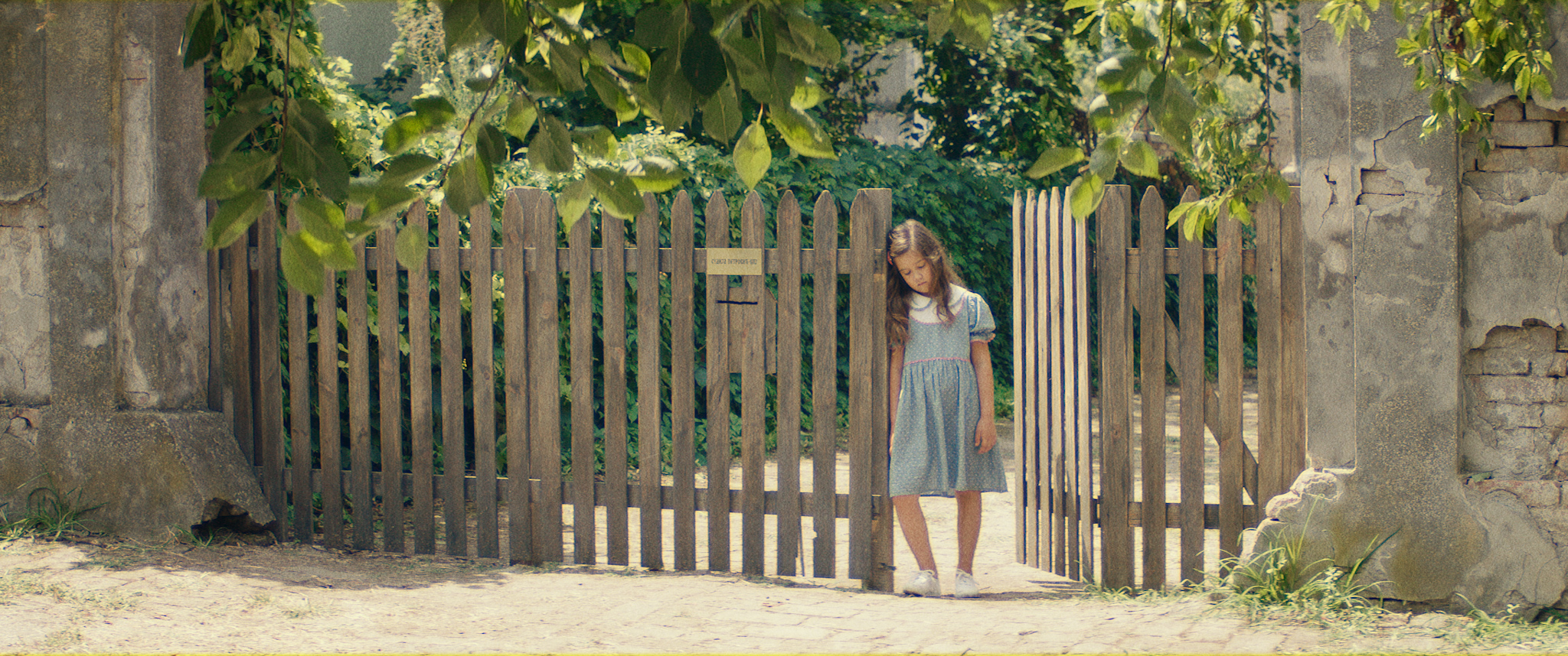 A Girl at the Fence