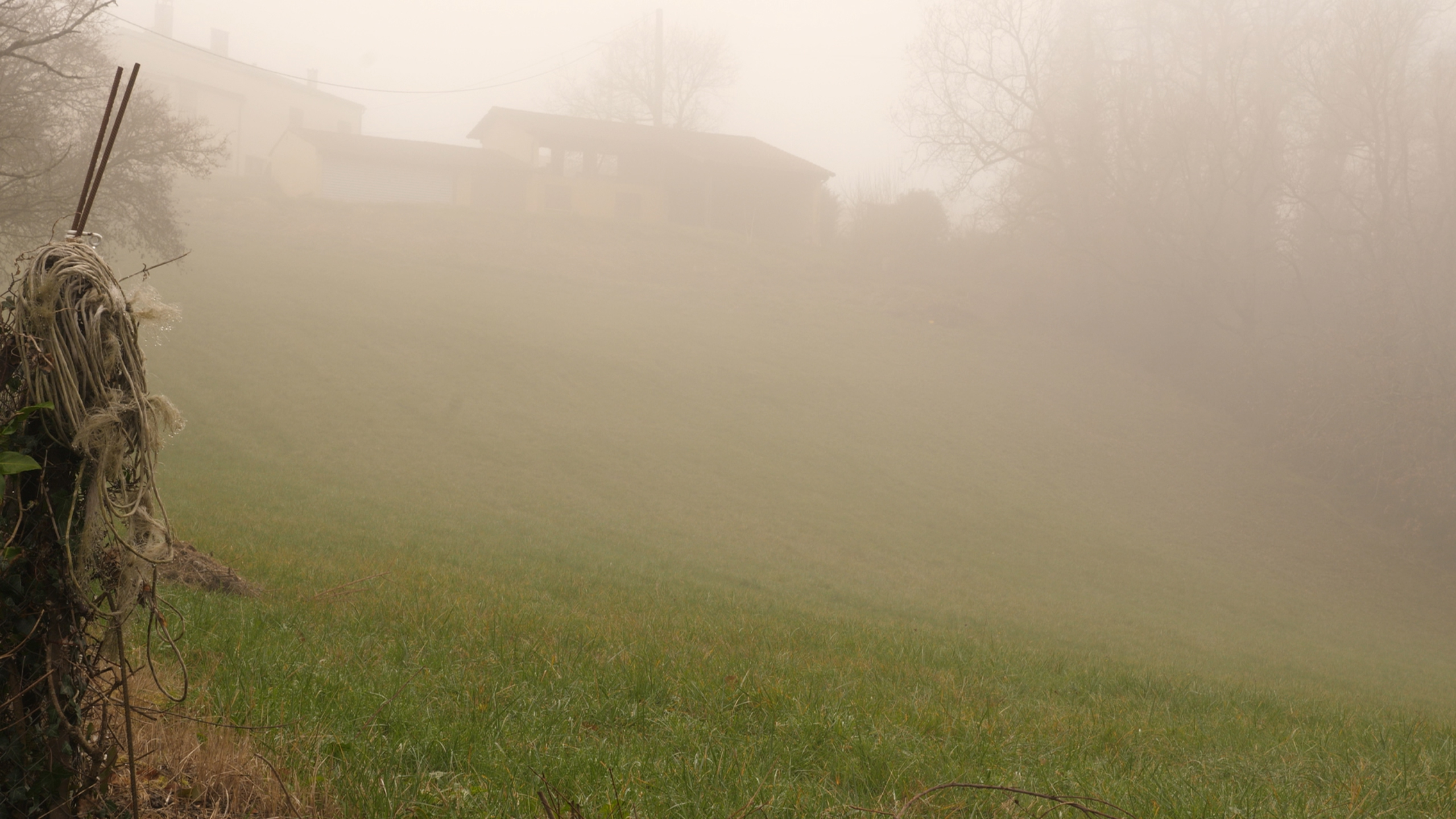 Caméra d'une ville, caméra d'un champ
