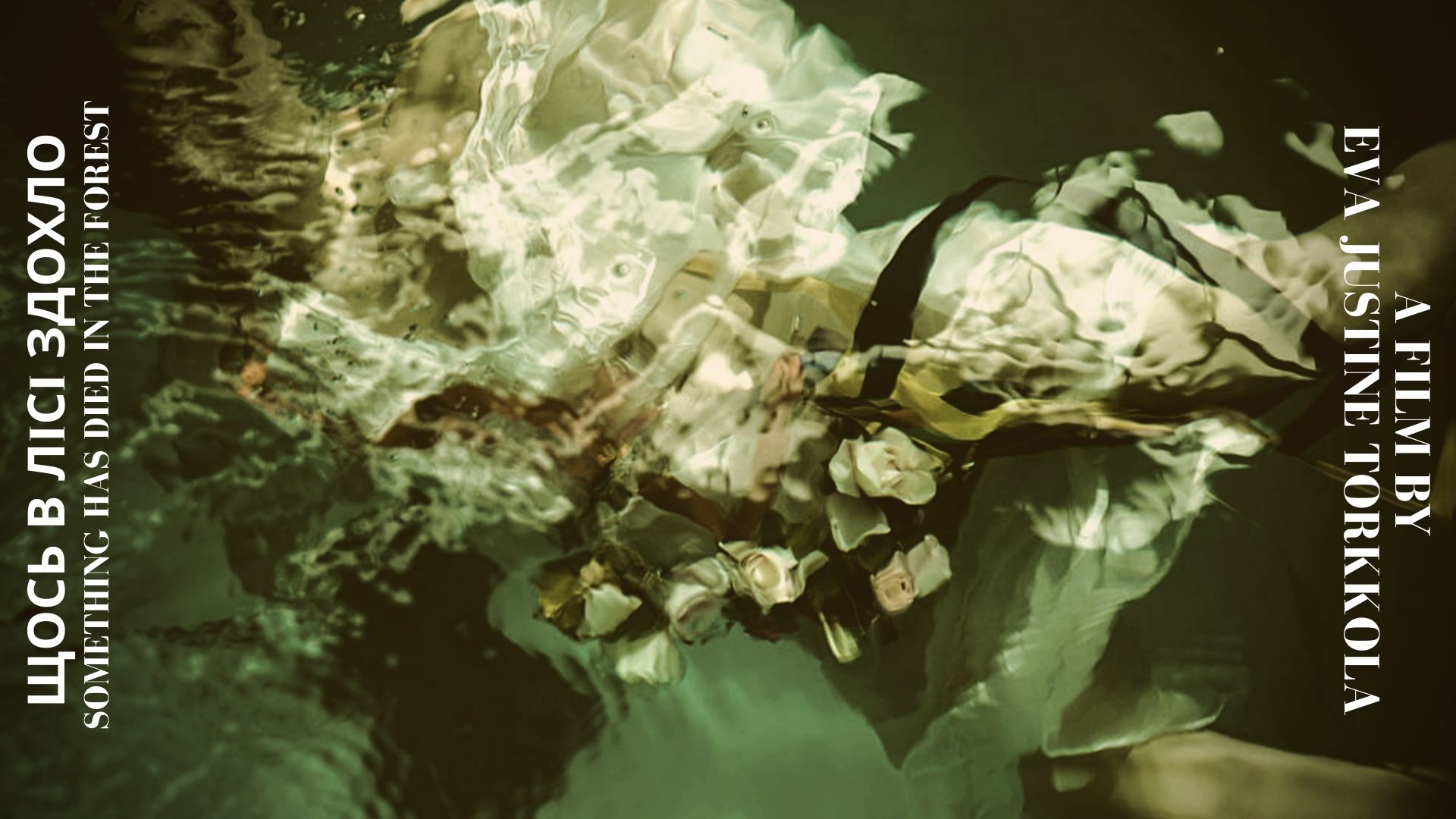 Something Has Died in the Forest