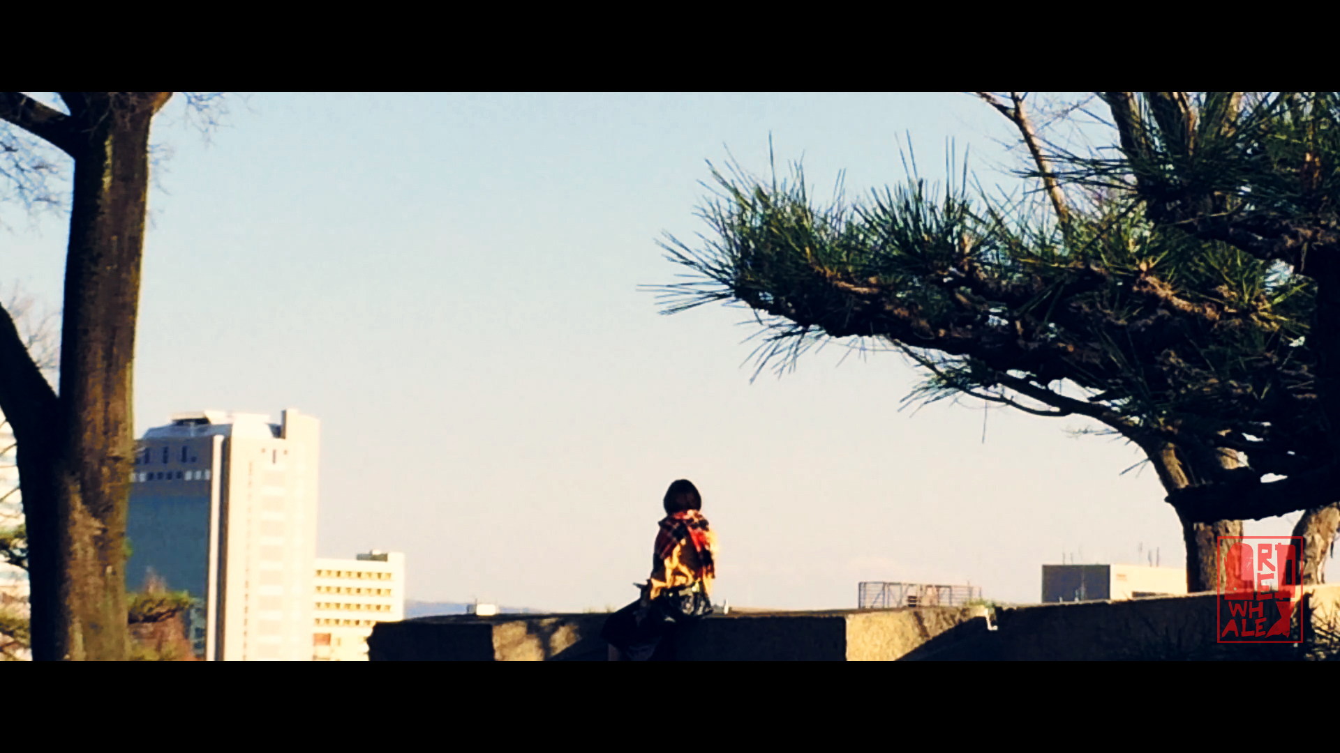 Osaka: a City Symphony