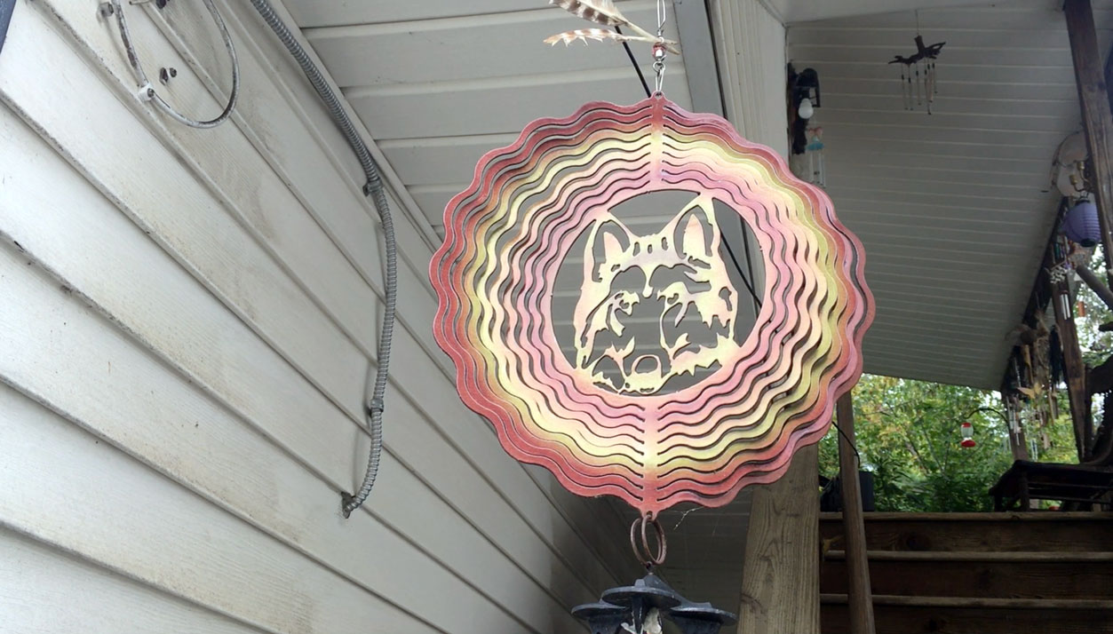 A Wilderness of Lost Connections