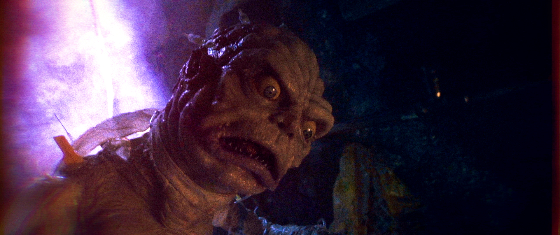 Hospital Dumpster Divers