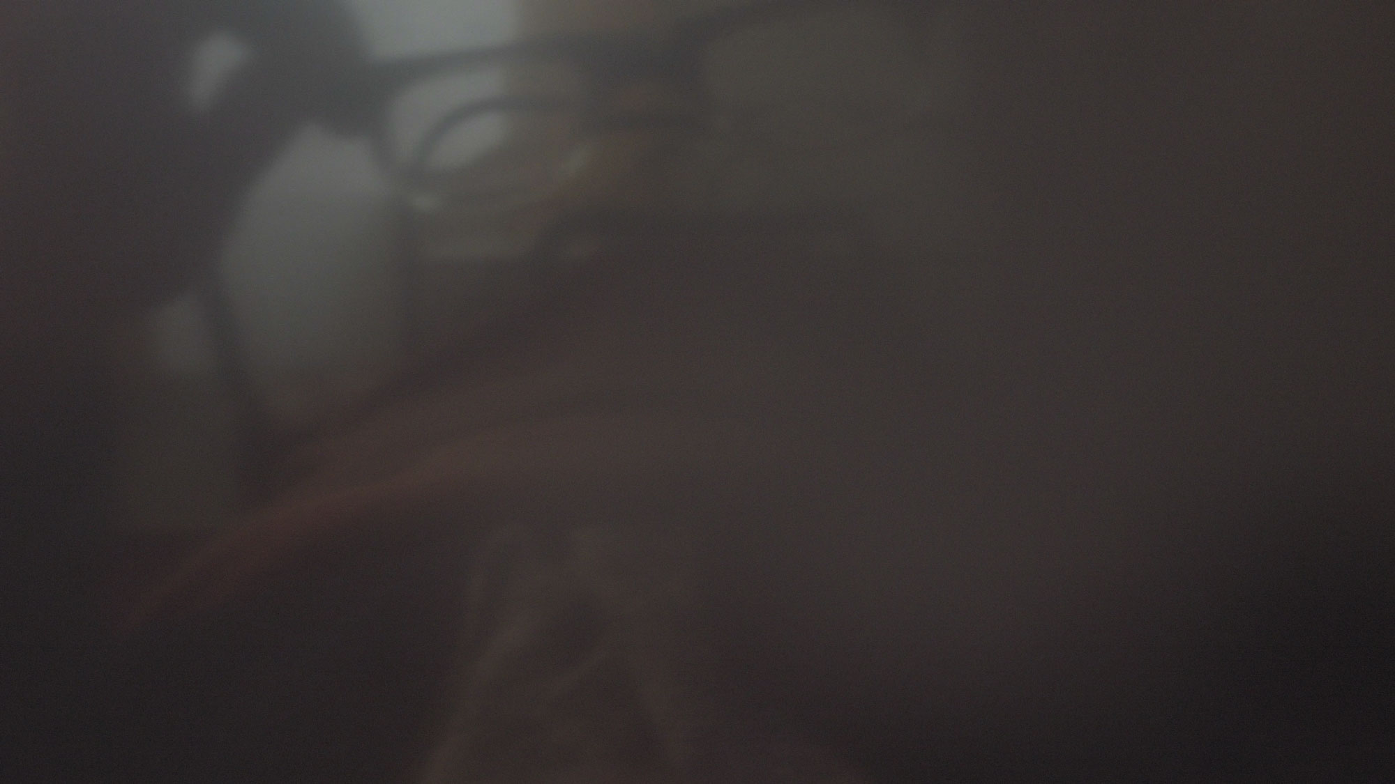 Der Morgen im Kiefernwald