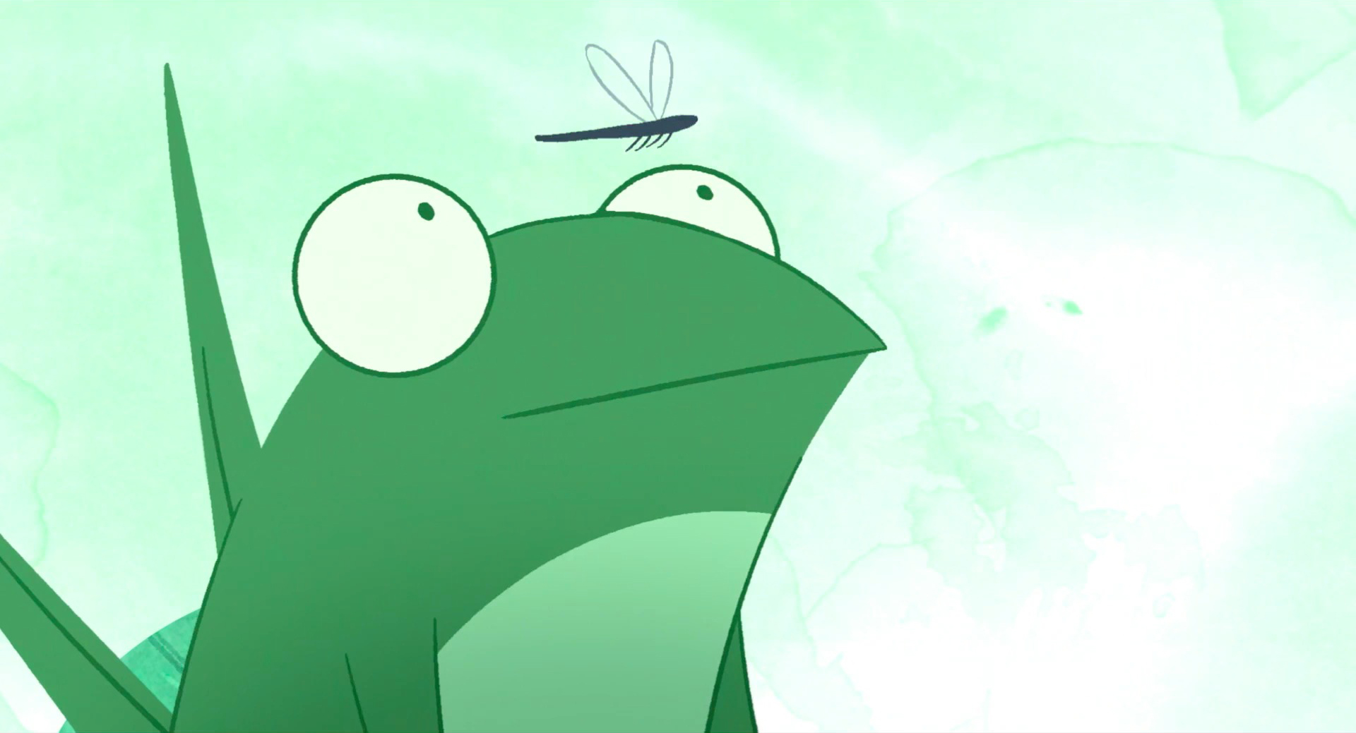 Petite grenouille à grande bouche