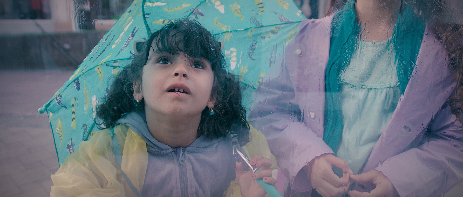 Sonia Loves, Sonia Doesn't