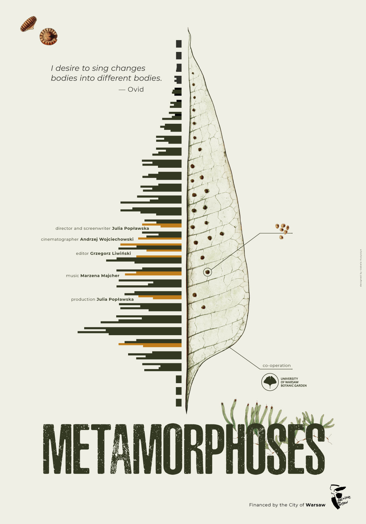 Metamorfozy