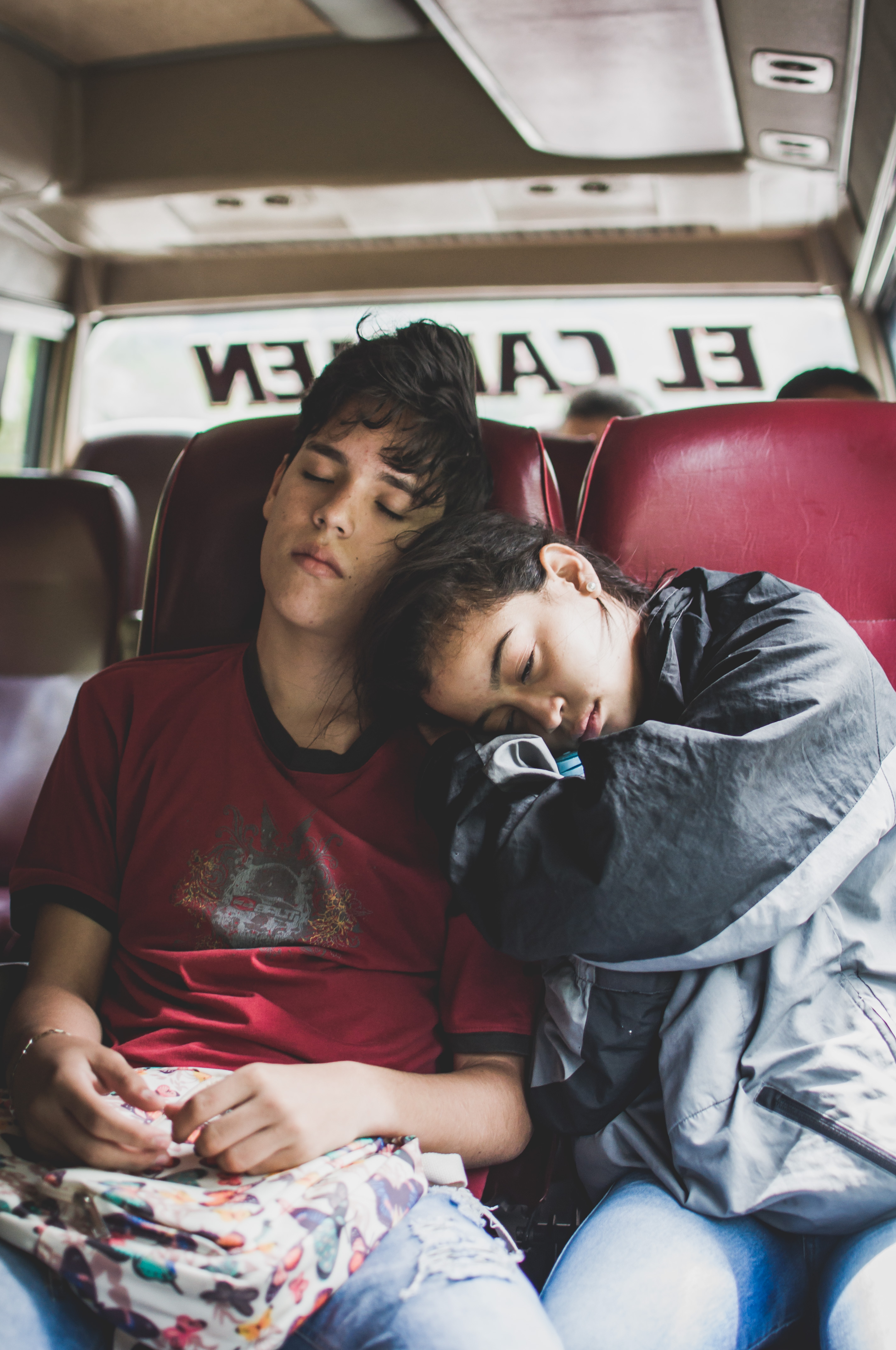 pájaros vuelan de a dos