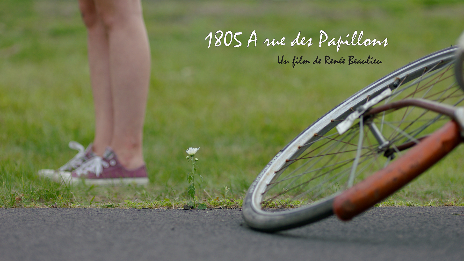 1805 a rue des papillons