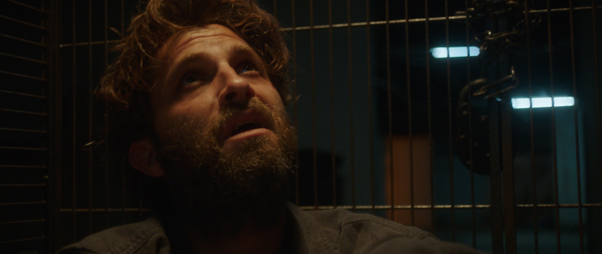 Elephant And the Rider