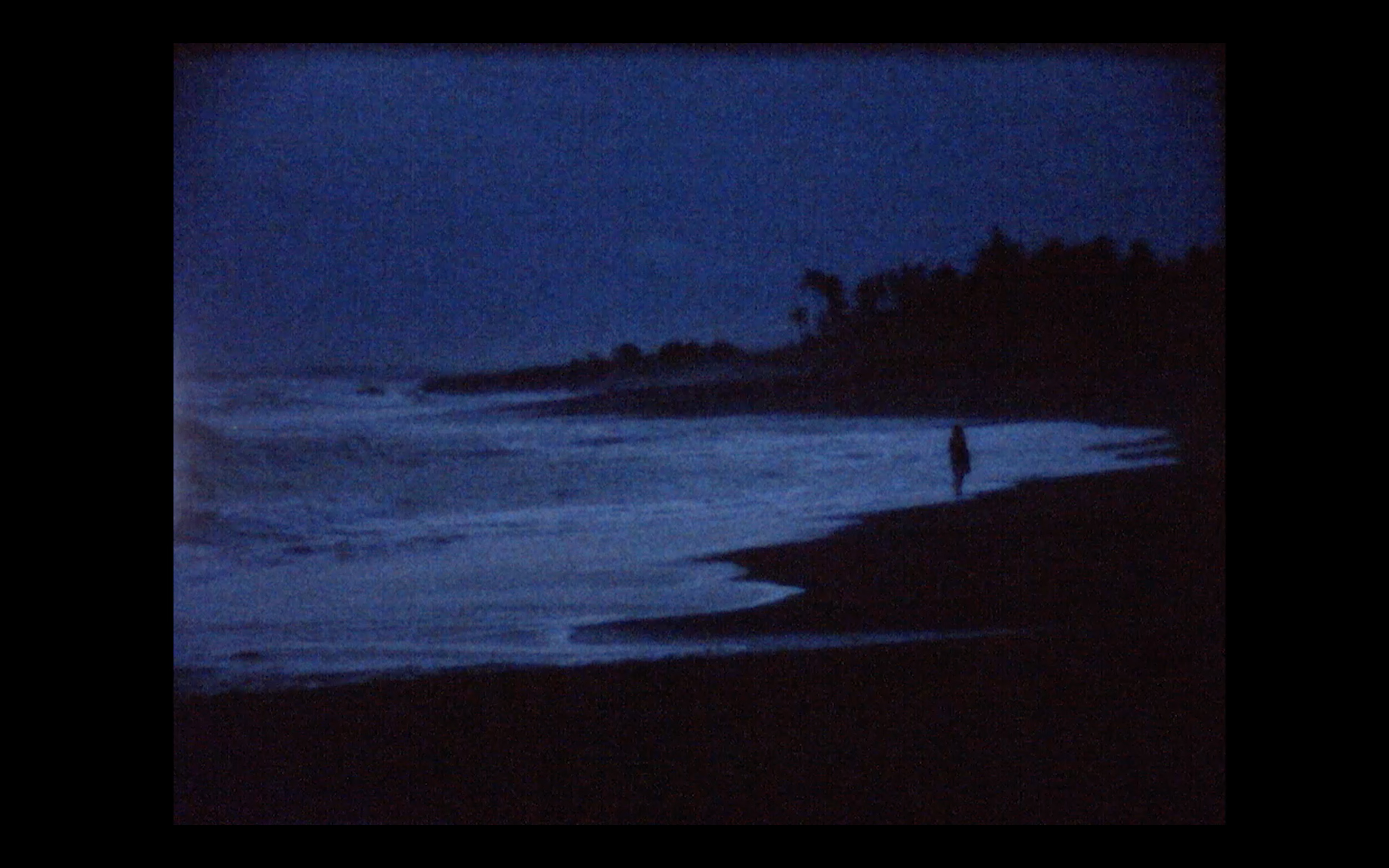 In Conversation with the Ocean