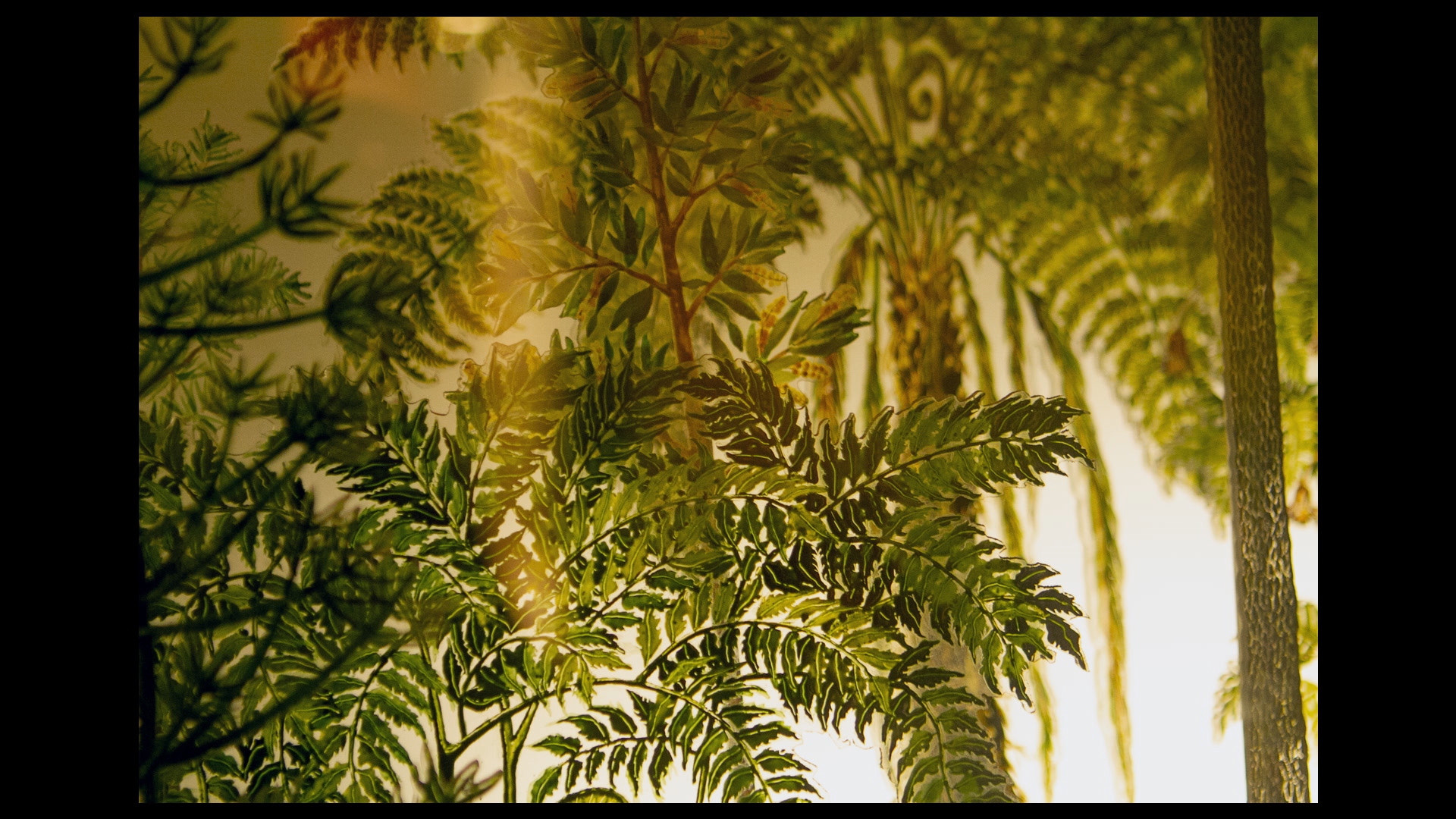 There Is an Affinity