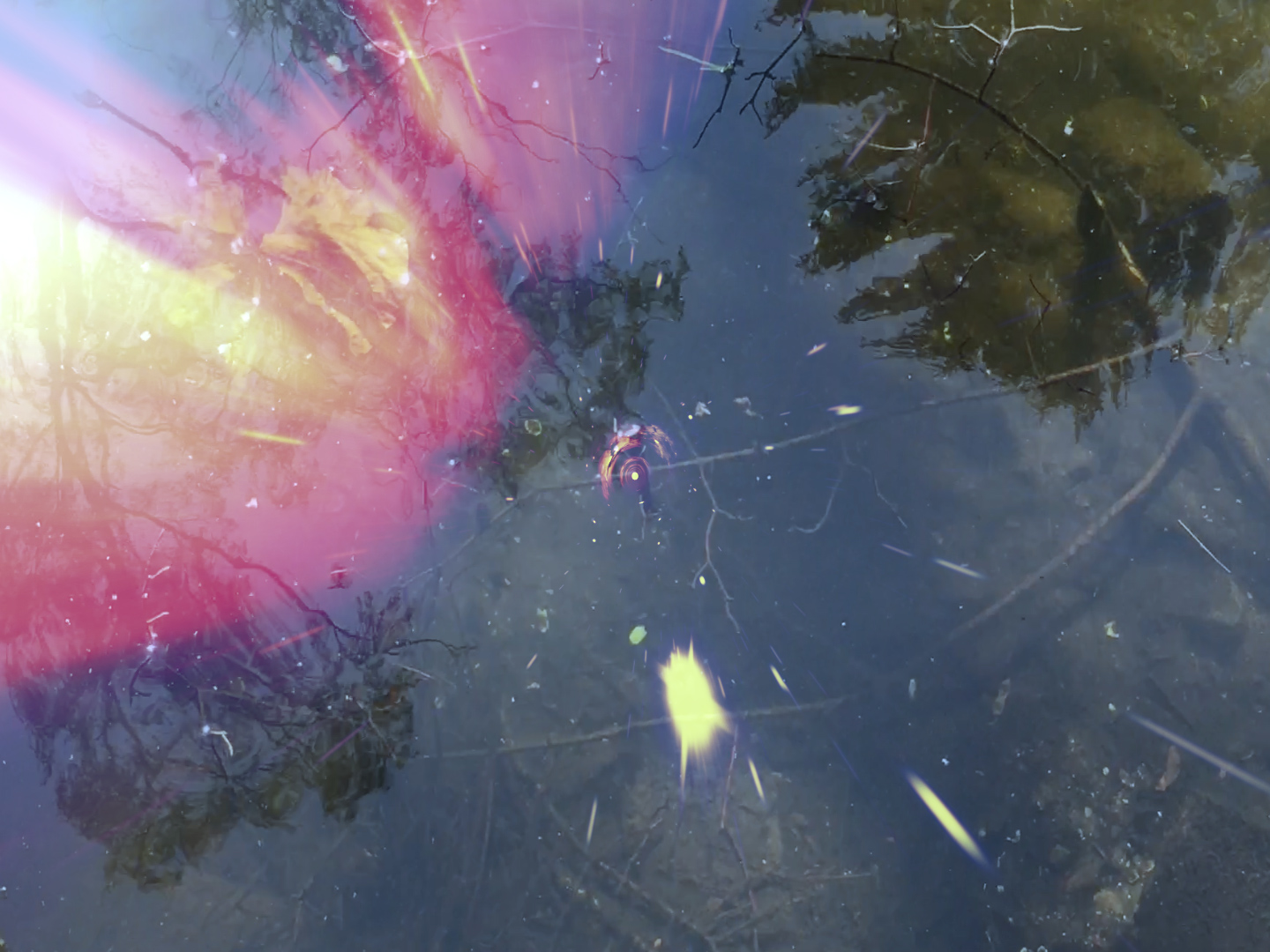 Metamorphoses 2
