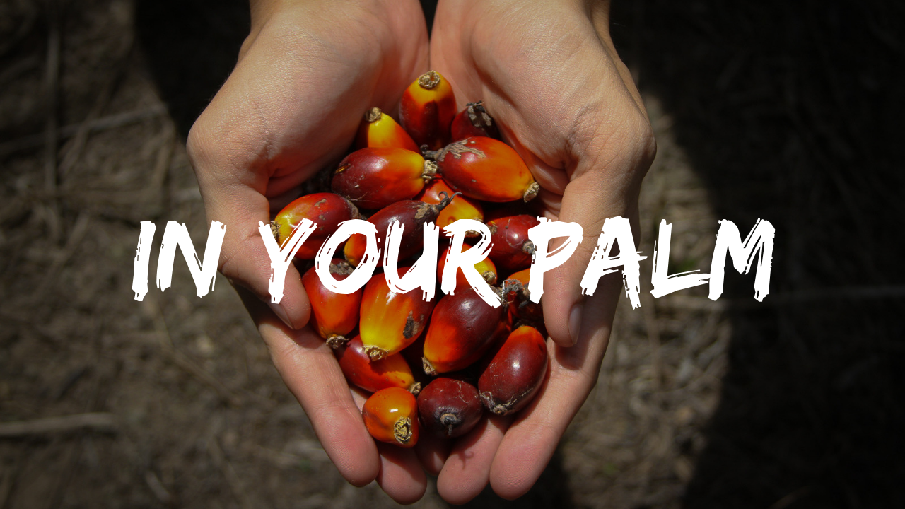 In Your Palm