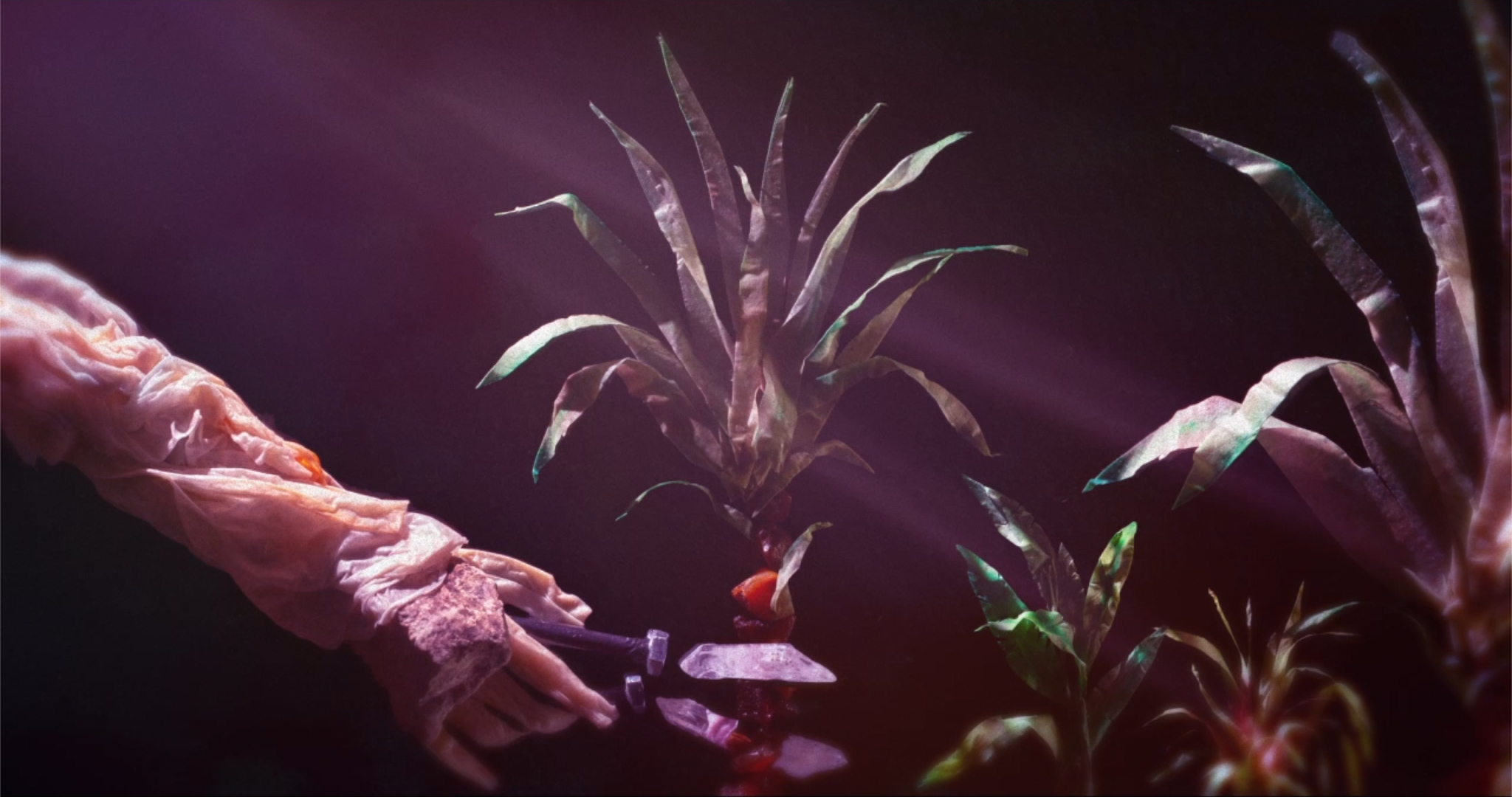 Plantarium
