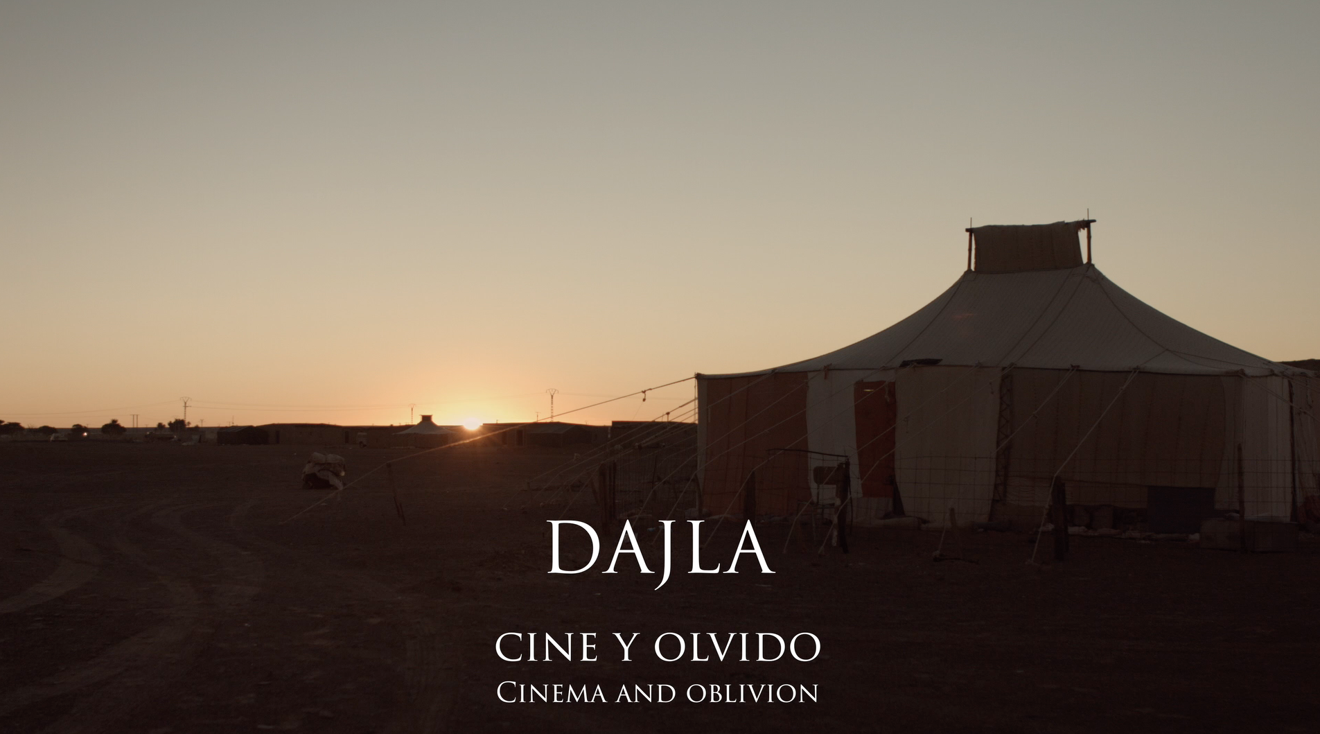 Dajla: cine y olvido