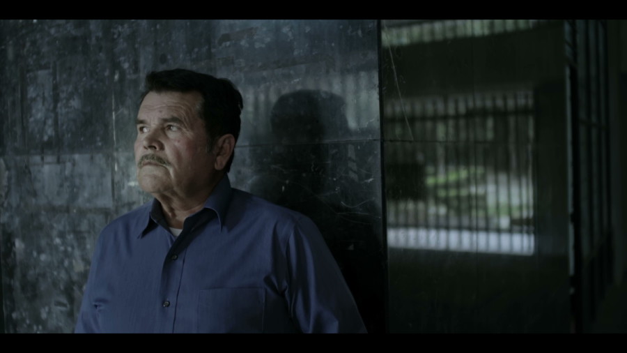 ¿por qué los matas?