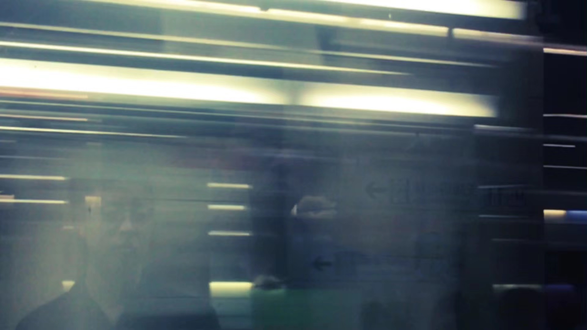 My Red Bayberry Nights