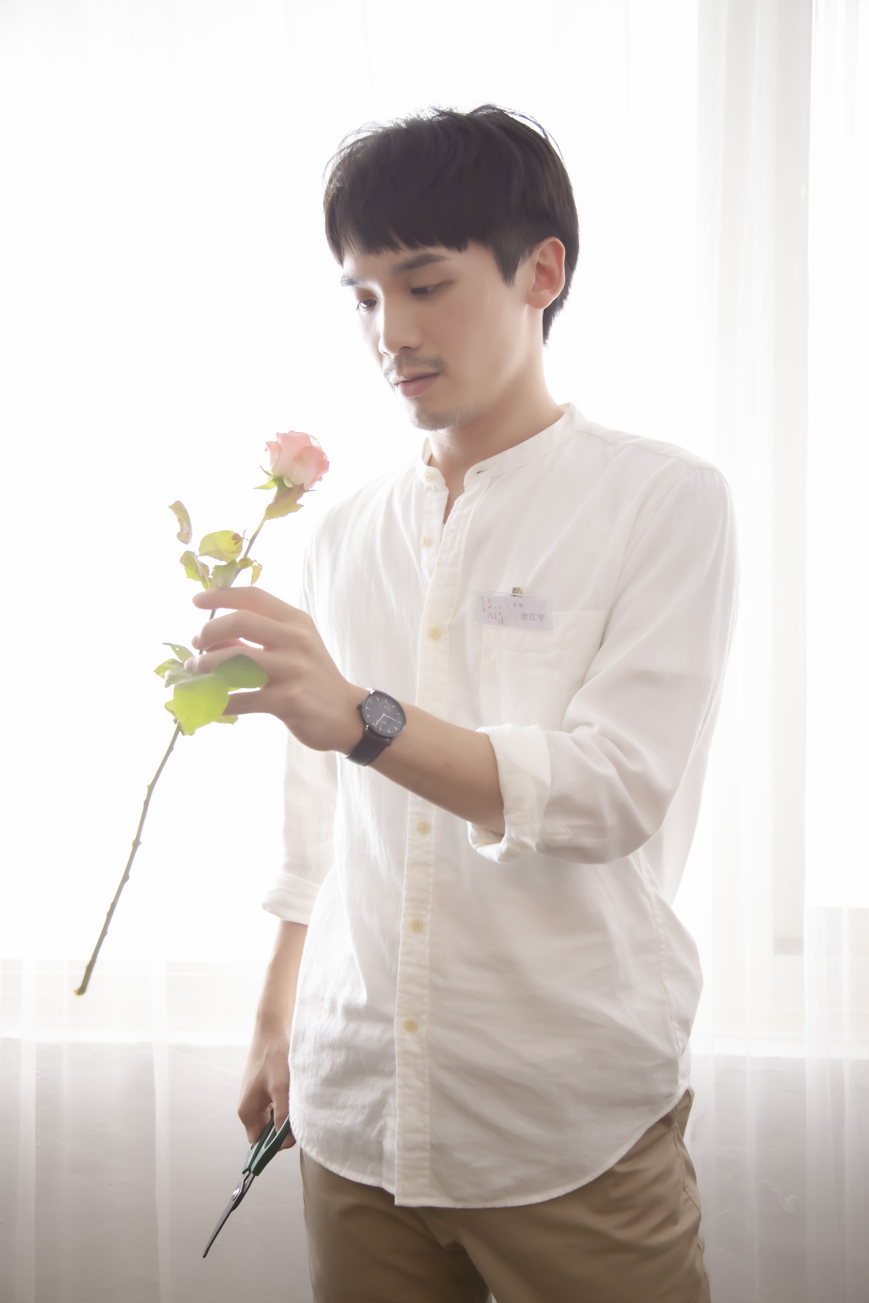 Floriography. Gypsophila