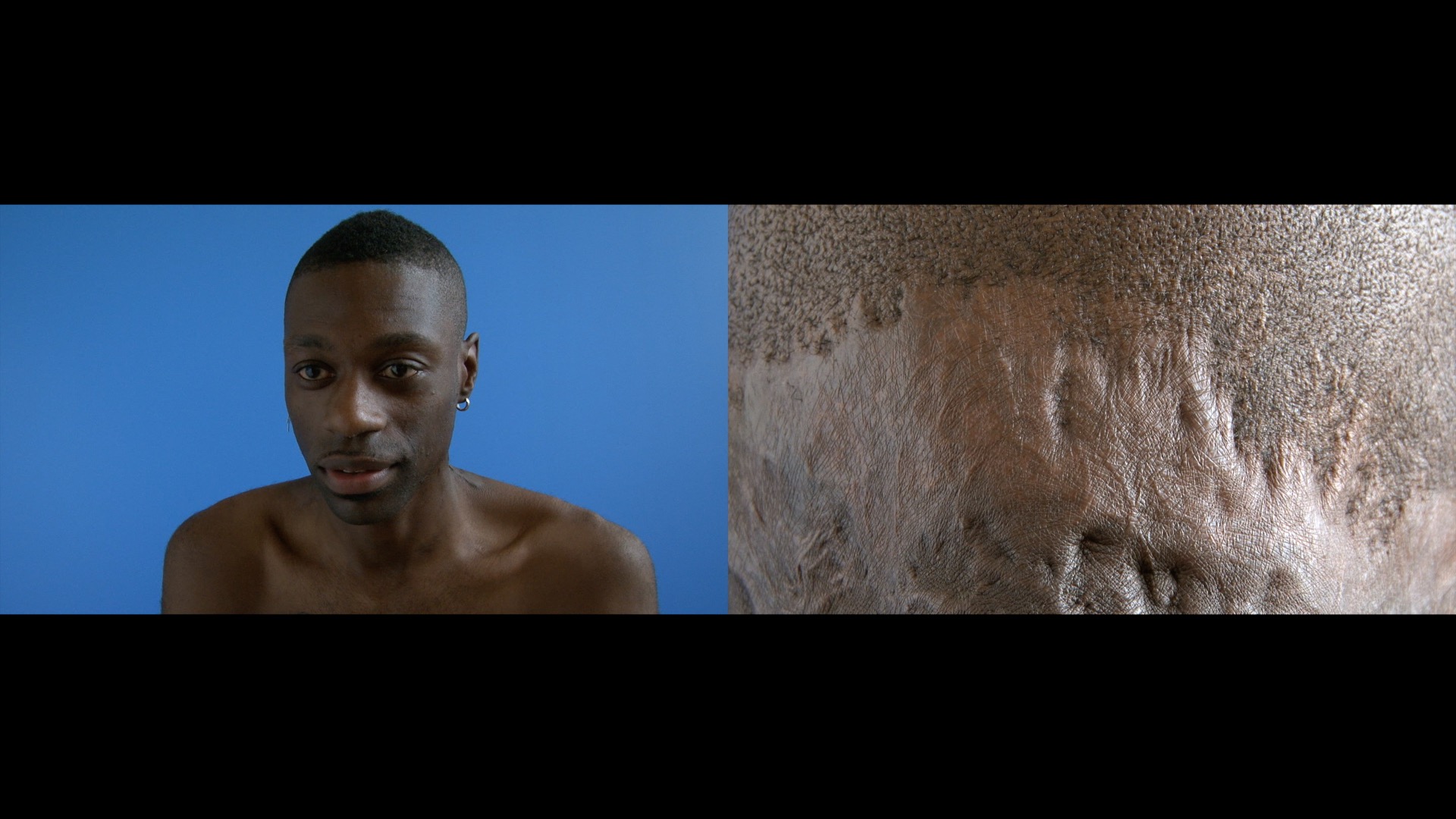 Jef - ken (cicatrices)