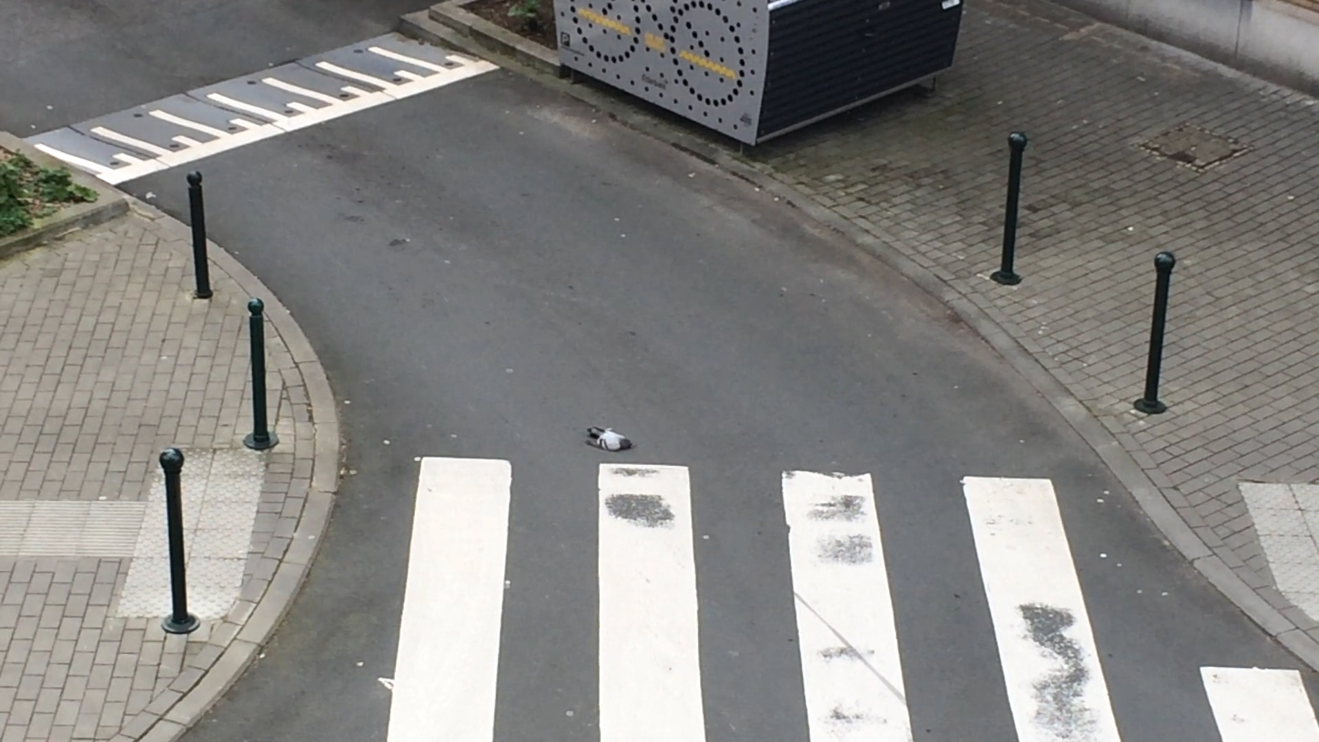 Prises de vue, rue de gerlache