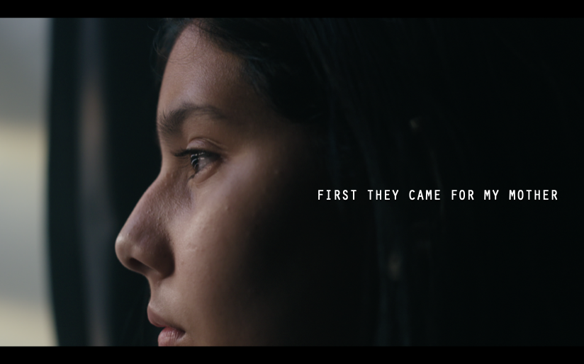 First They Came for My Mother