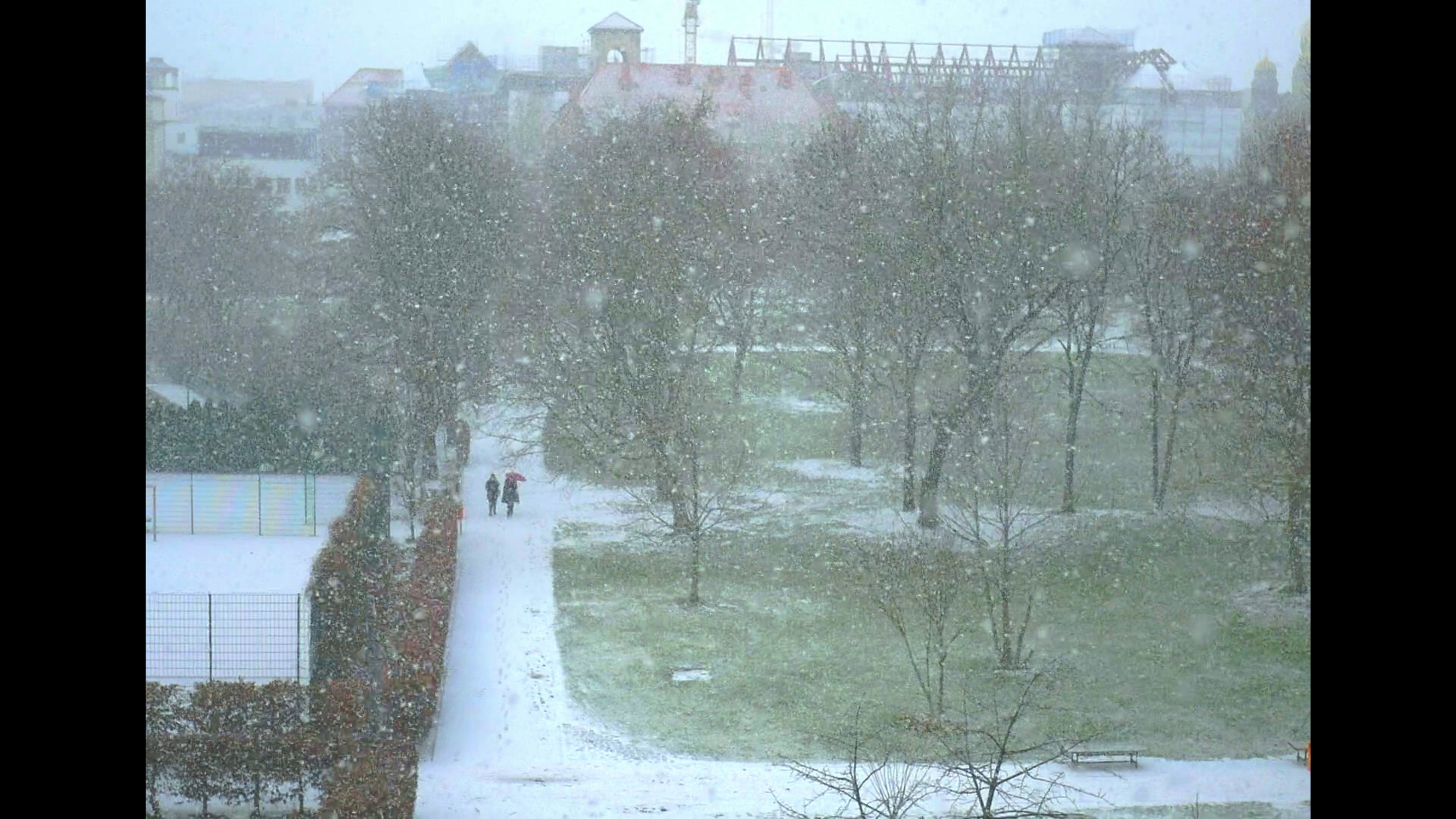 Sueñan Las Memorias.