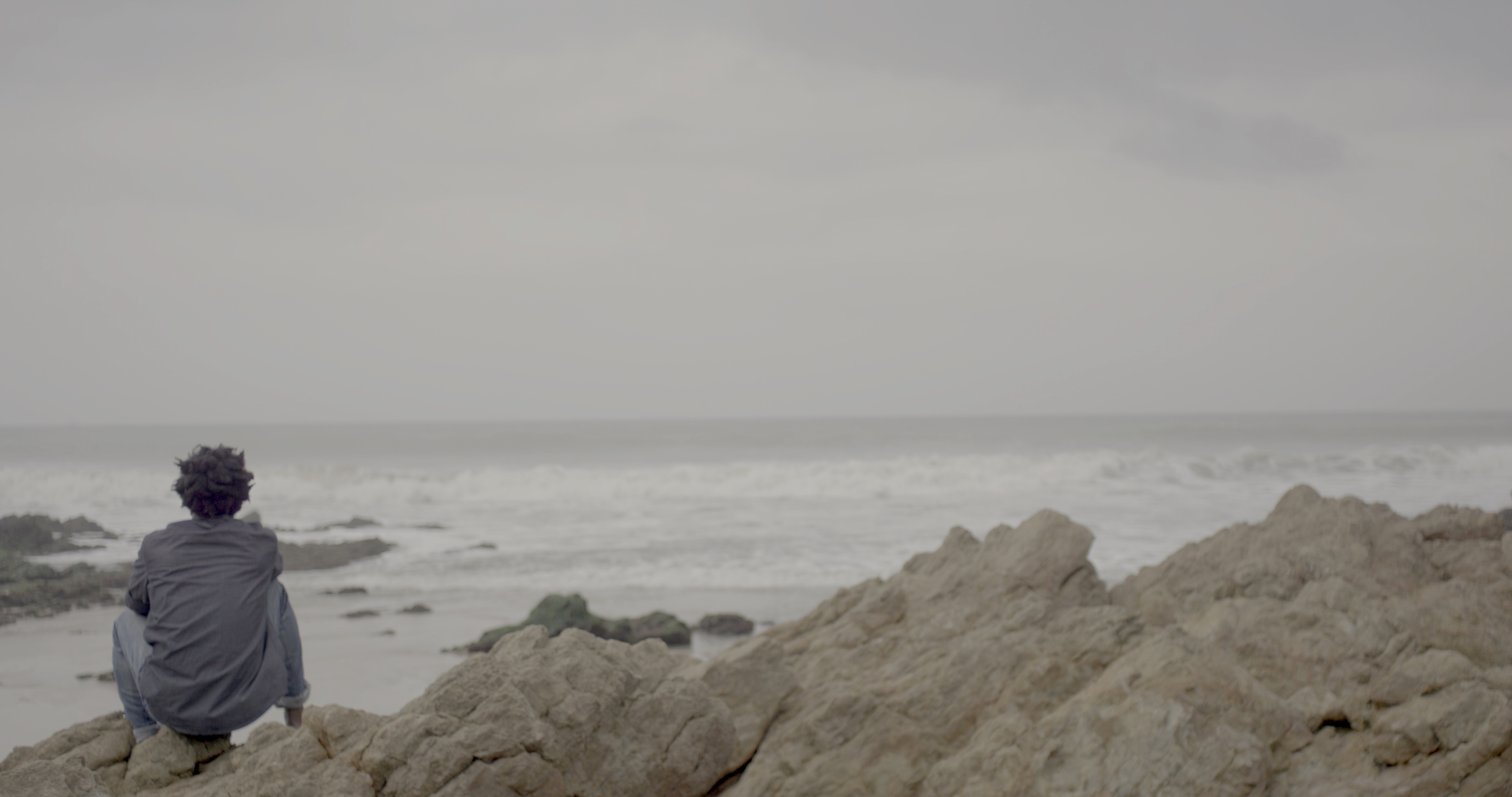 Farewell to the Wind