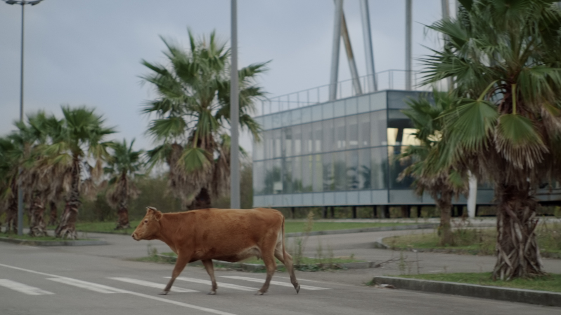 Scenes from Trial And Error