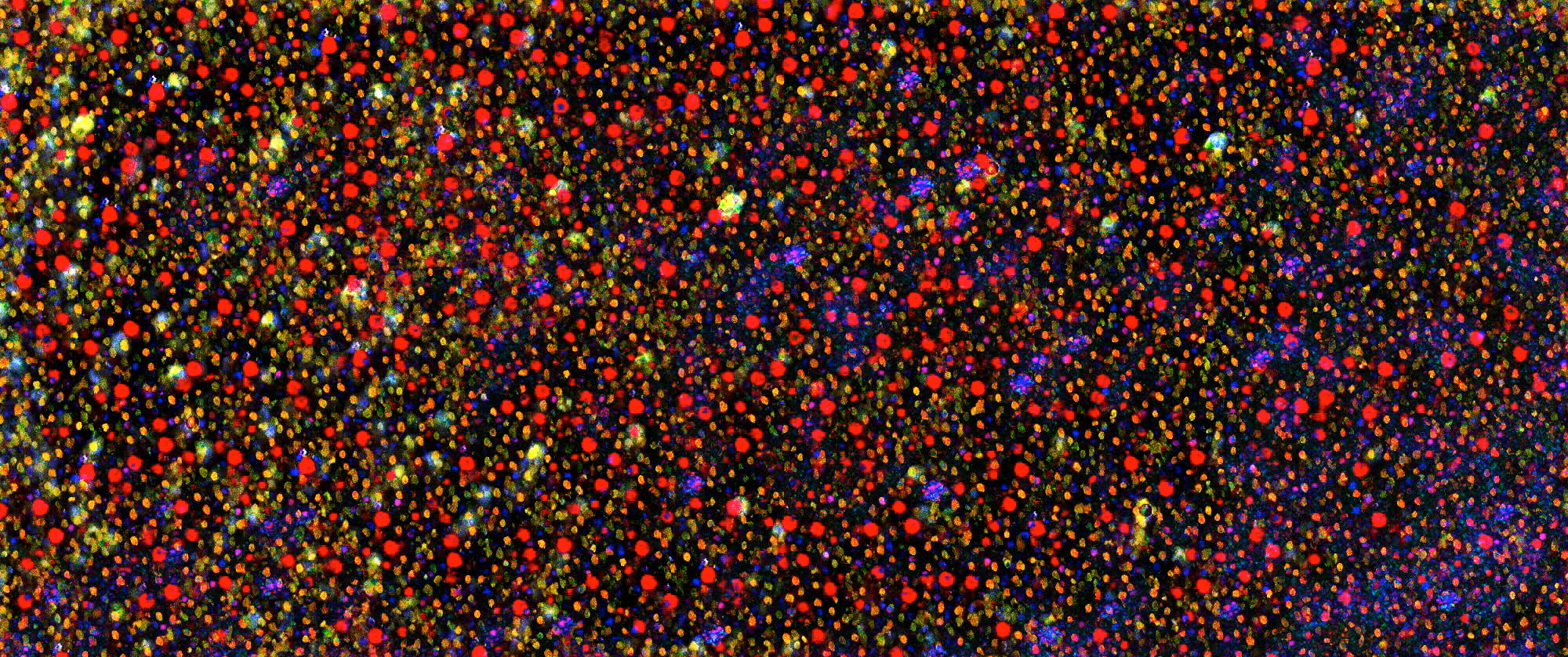 There Must Be Some Kind of Way out of Here