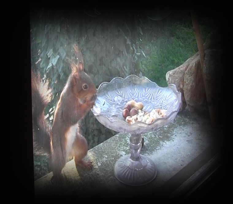 Rentrée scolaire...11 mai 2020