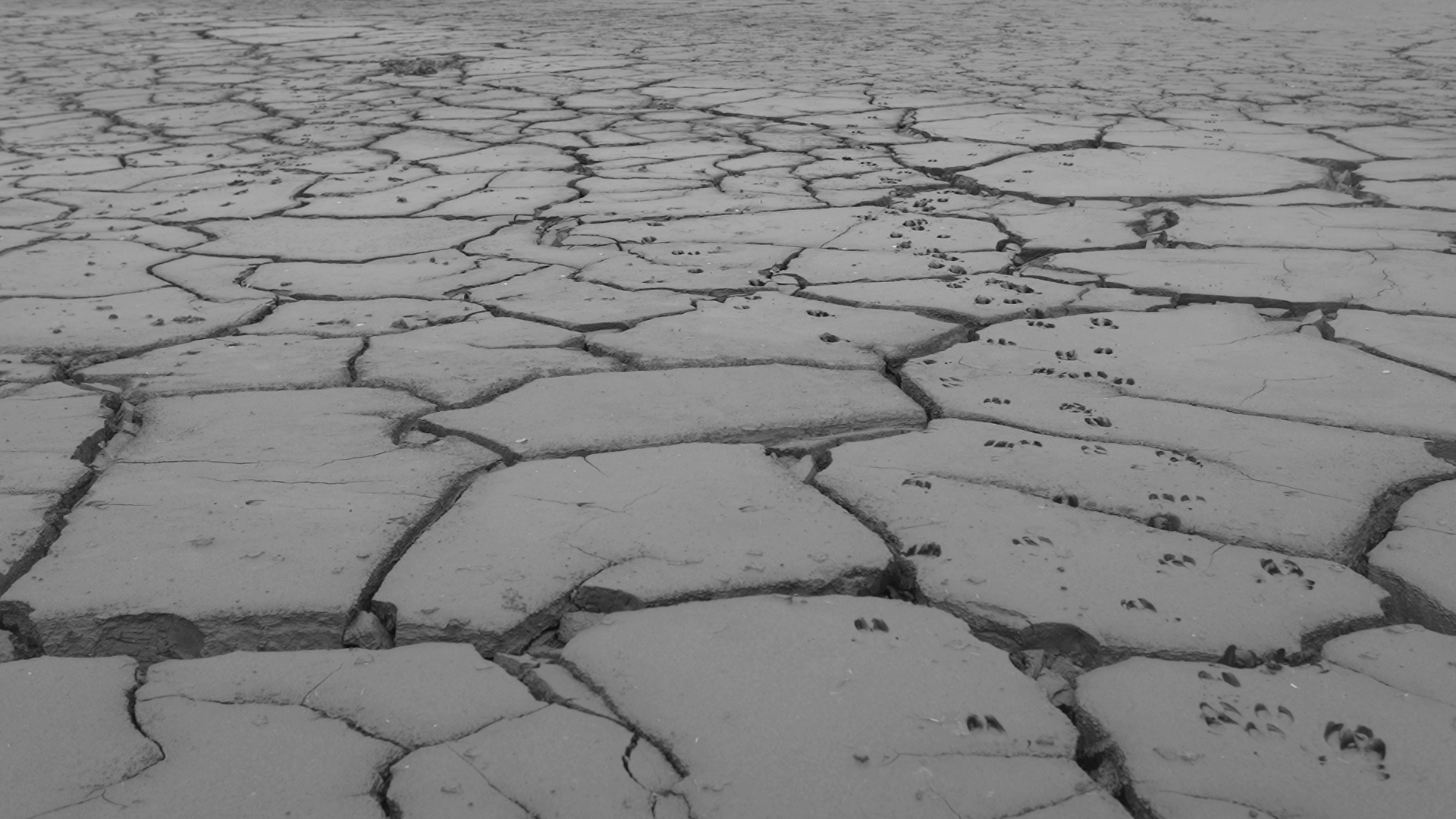 We Were Never Really Here