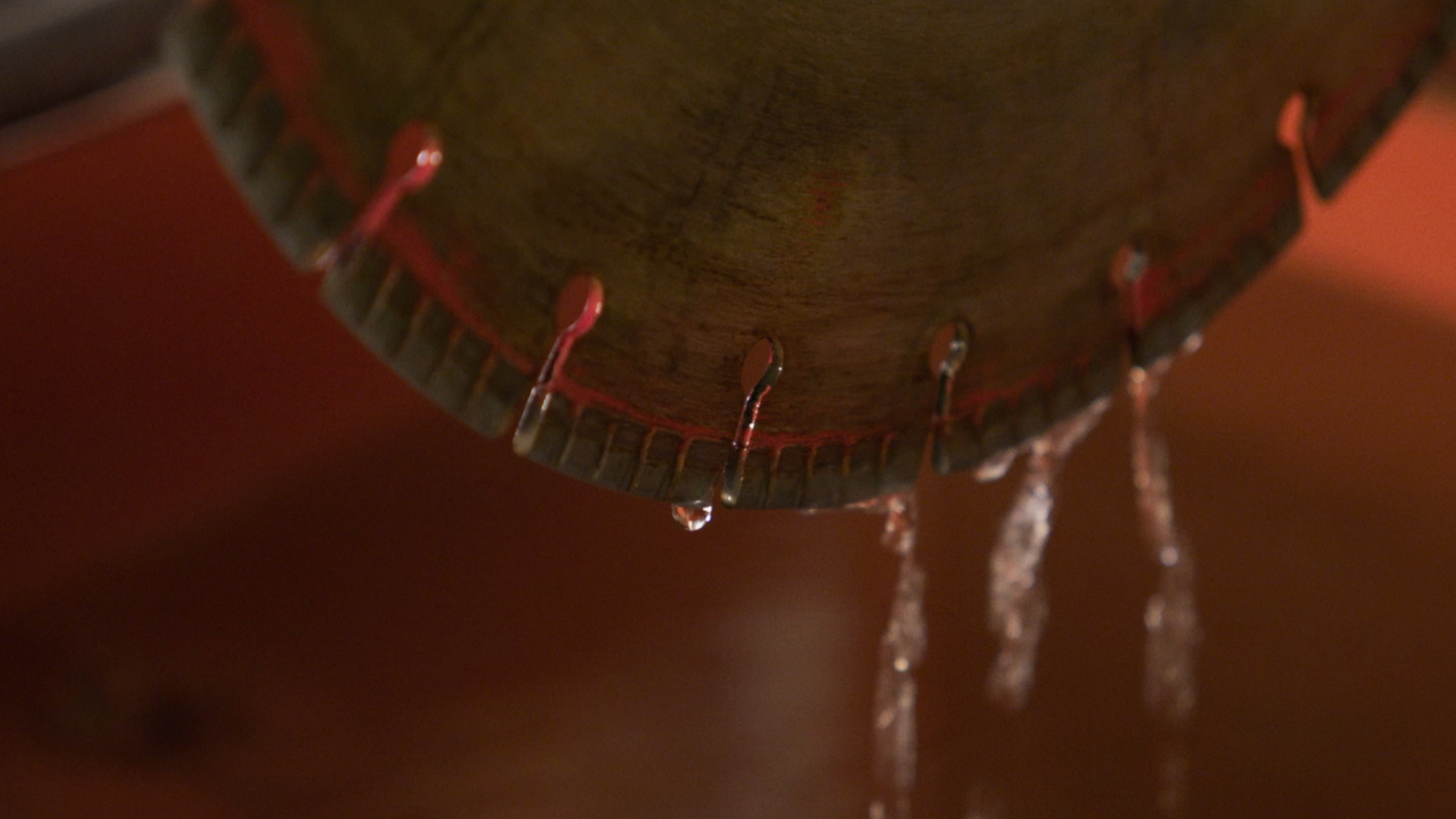 Chapter 2: a Wet Bio Coder