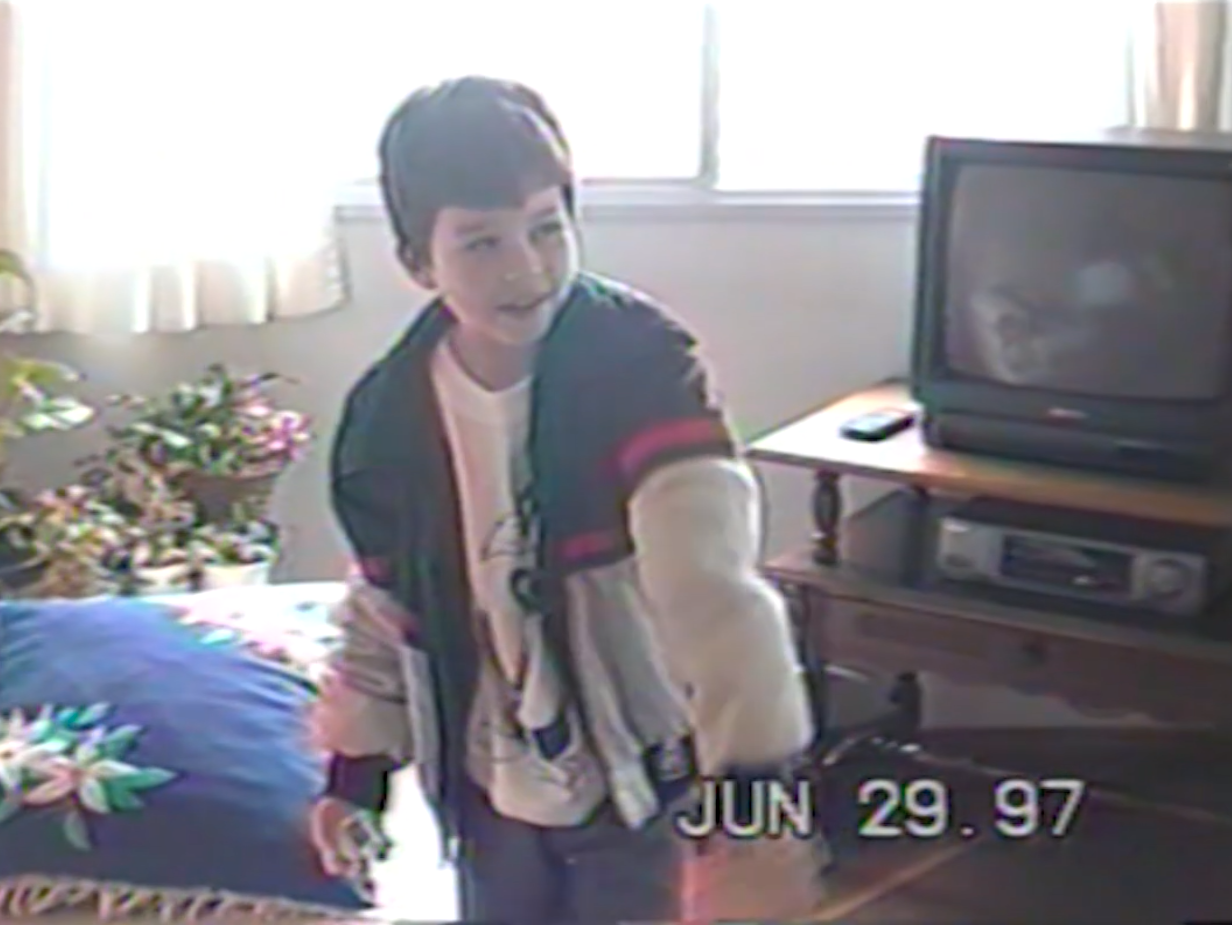 Explicação das árvores e de outros bichos