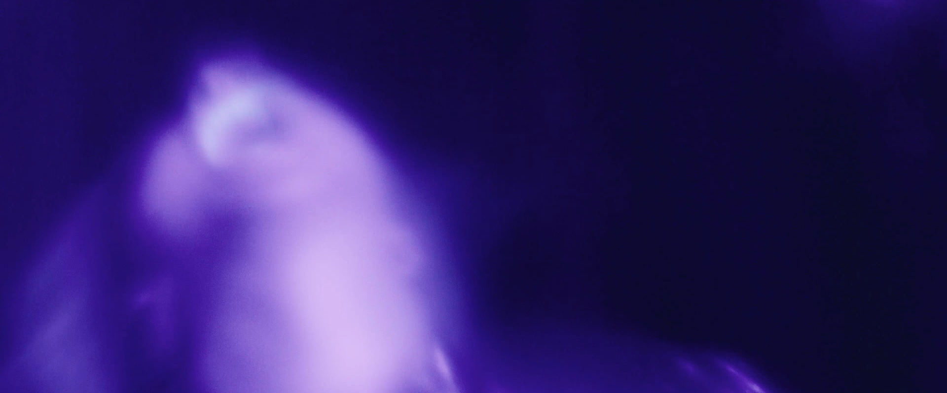 Passe impair et manque