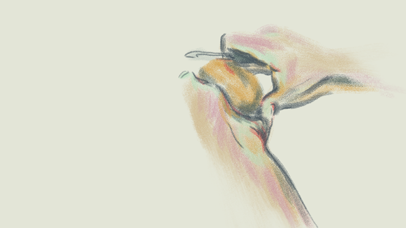 All Her Dying Lovers