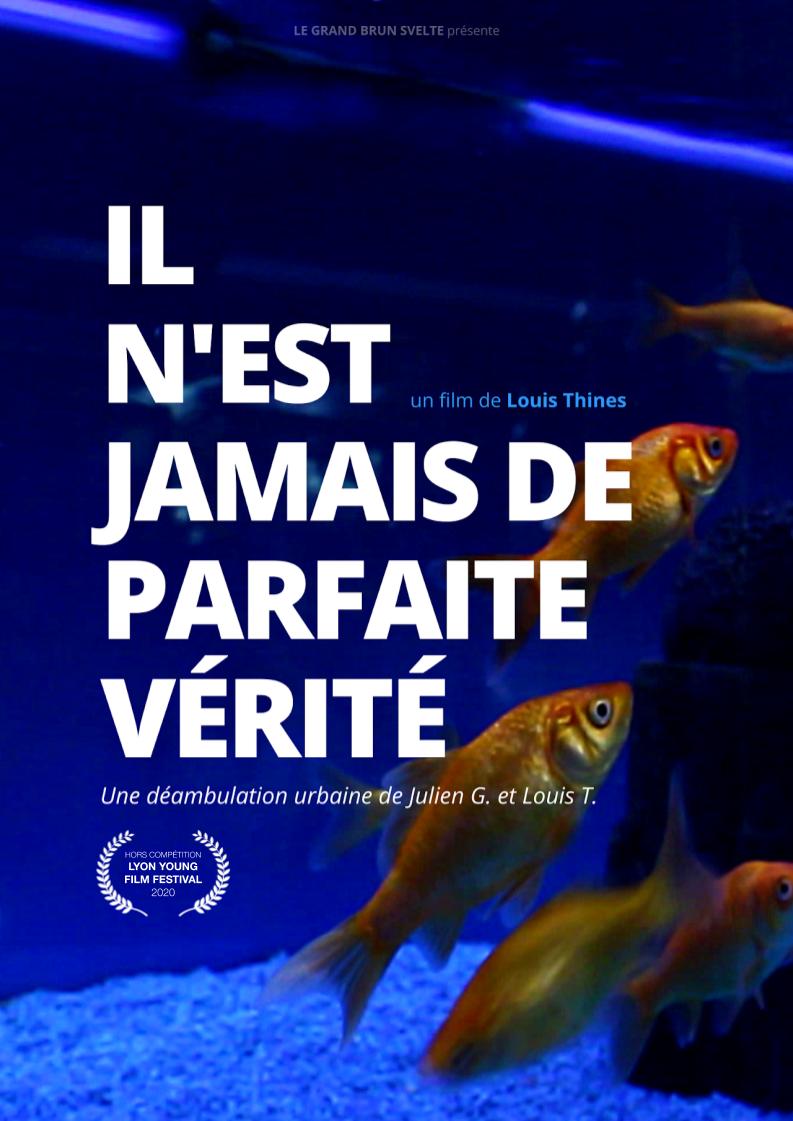 N'est jamais de parfaite vérité