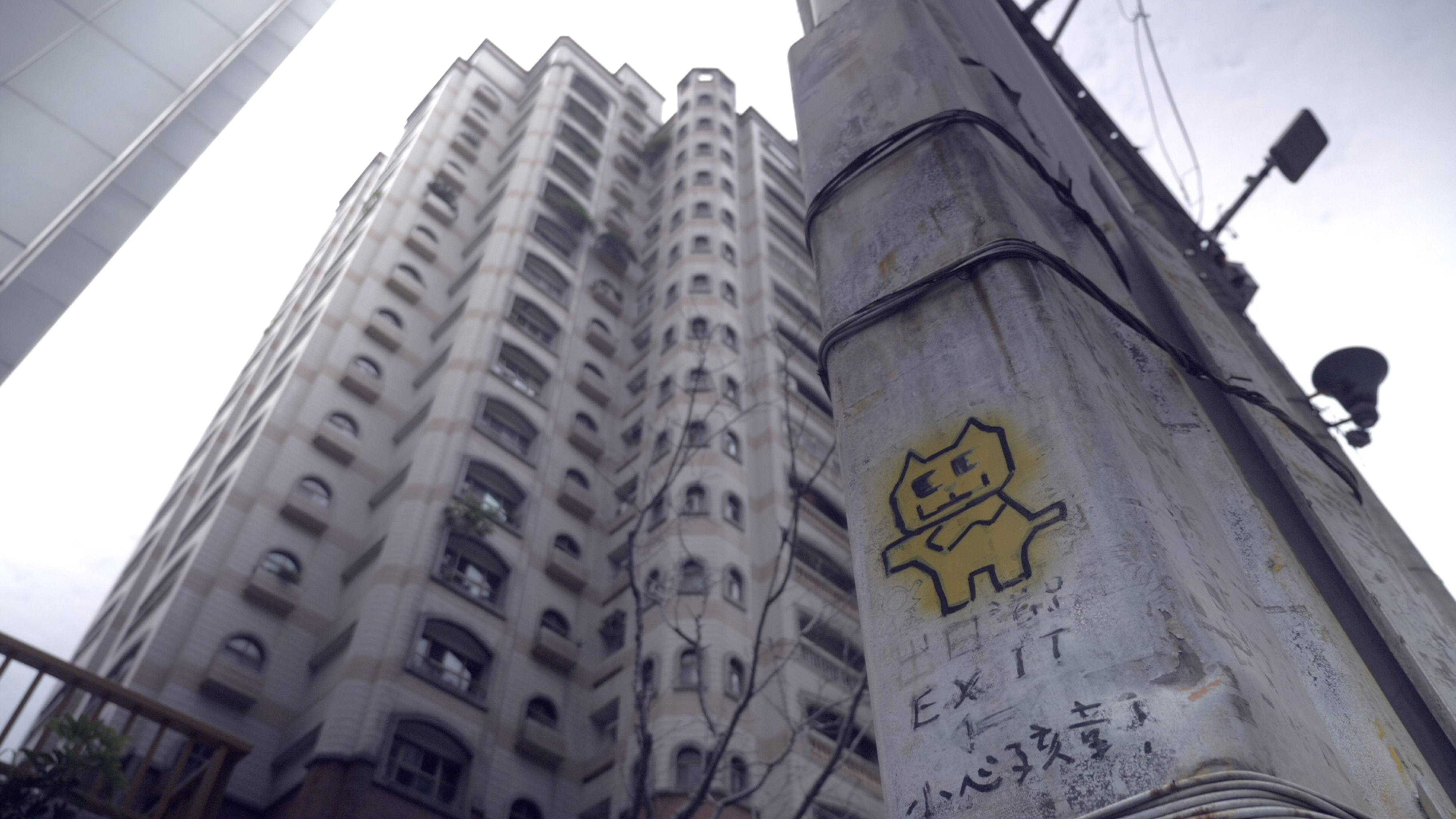 A Cat May Look at a King