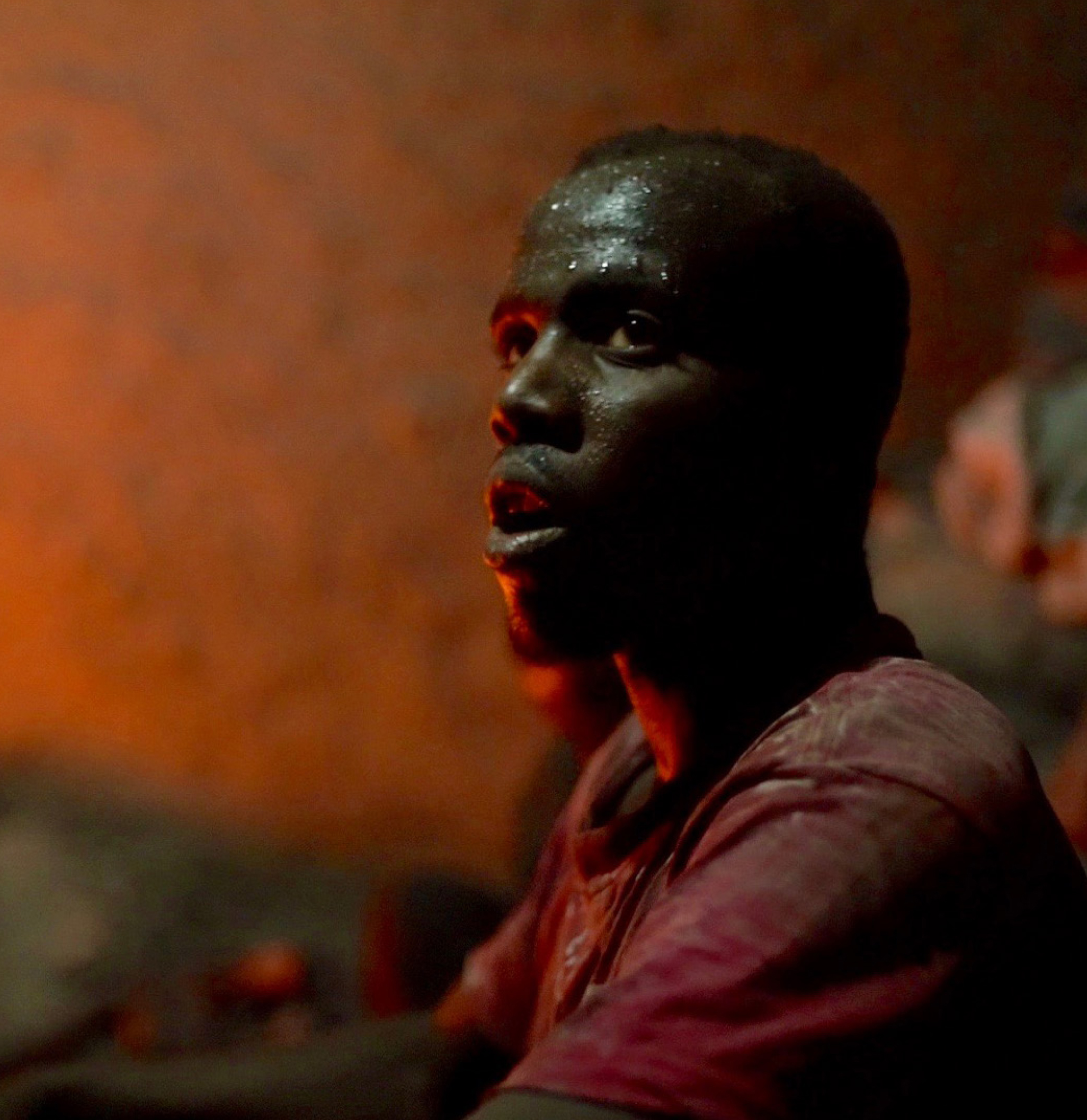 Incandescence des hyènes