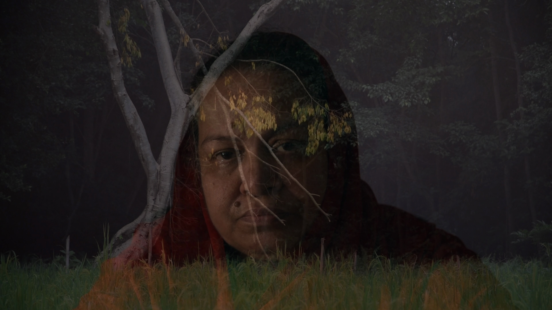 Teu muloi aapel anisil