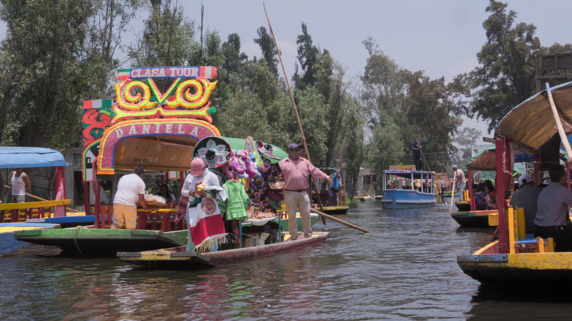 Secrets of the Salamanders