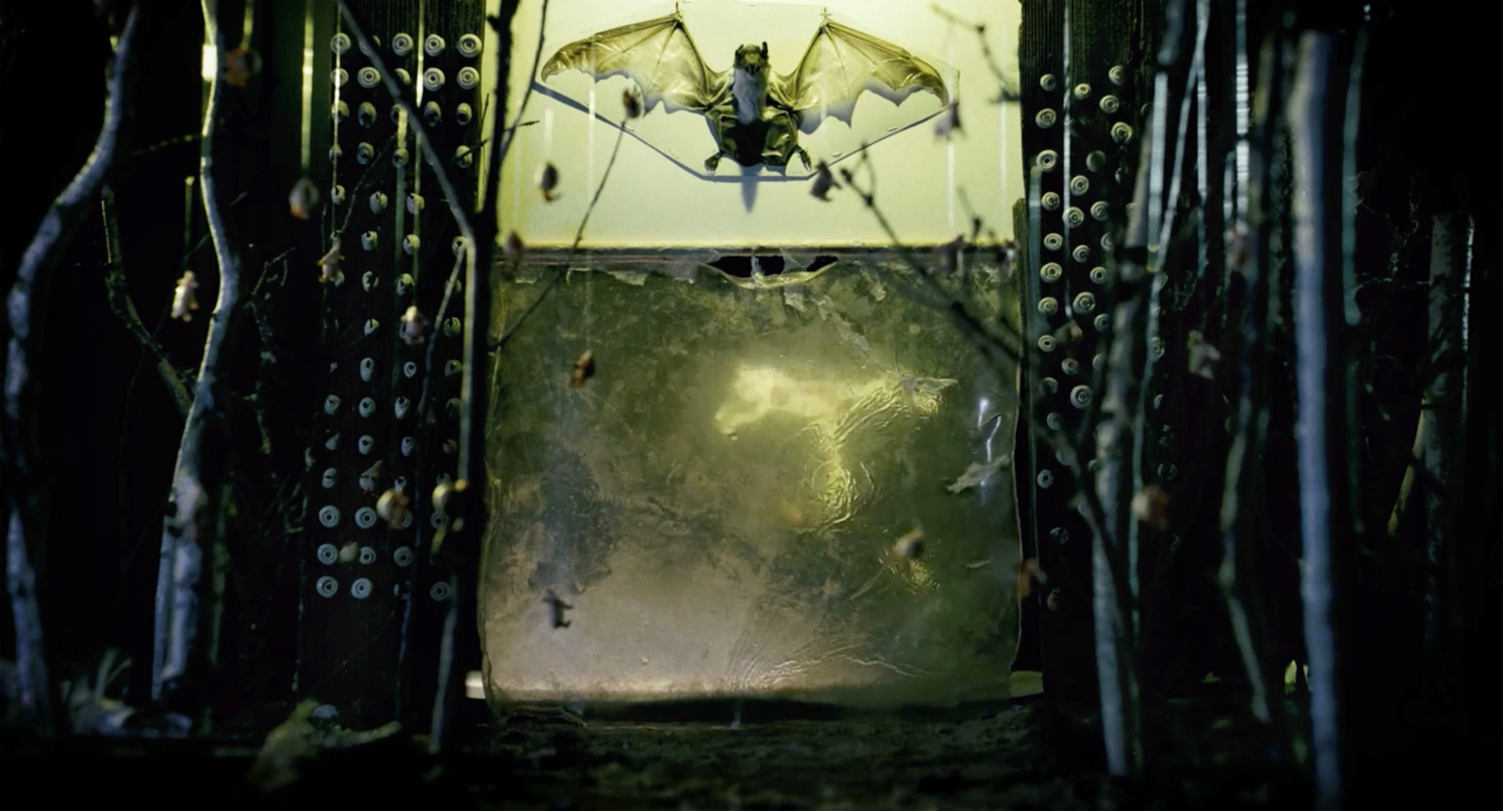 Black Forest Sanatorium