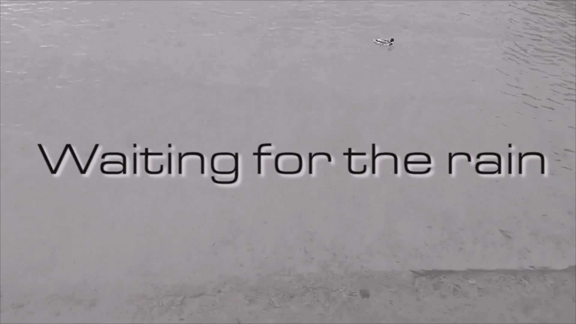 Waiting for the Rain