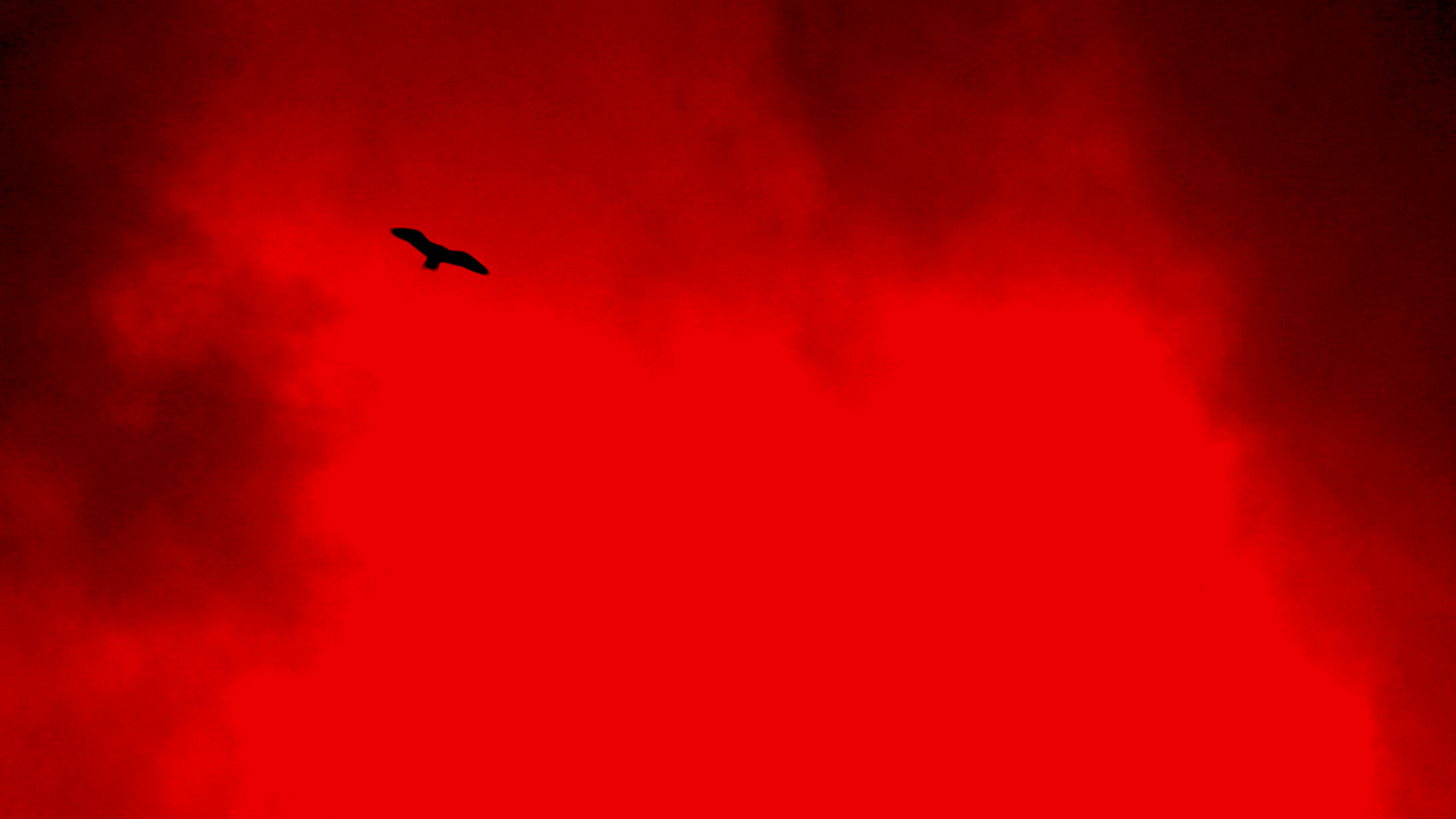 Morte branca do feiticeiro negro