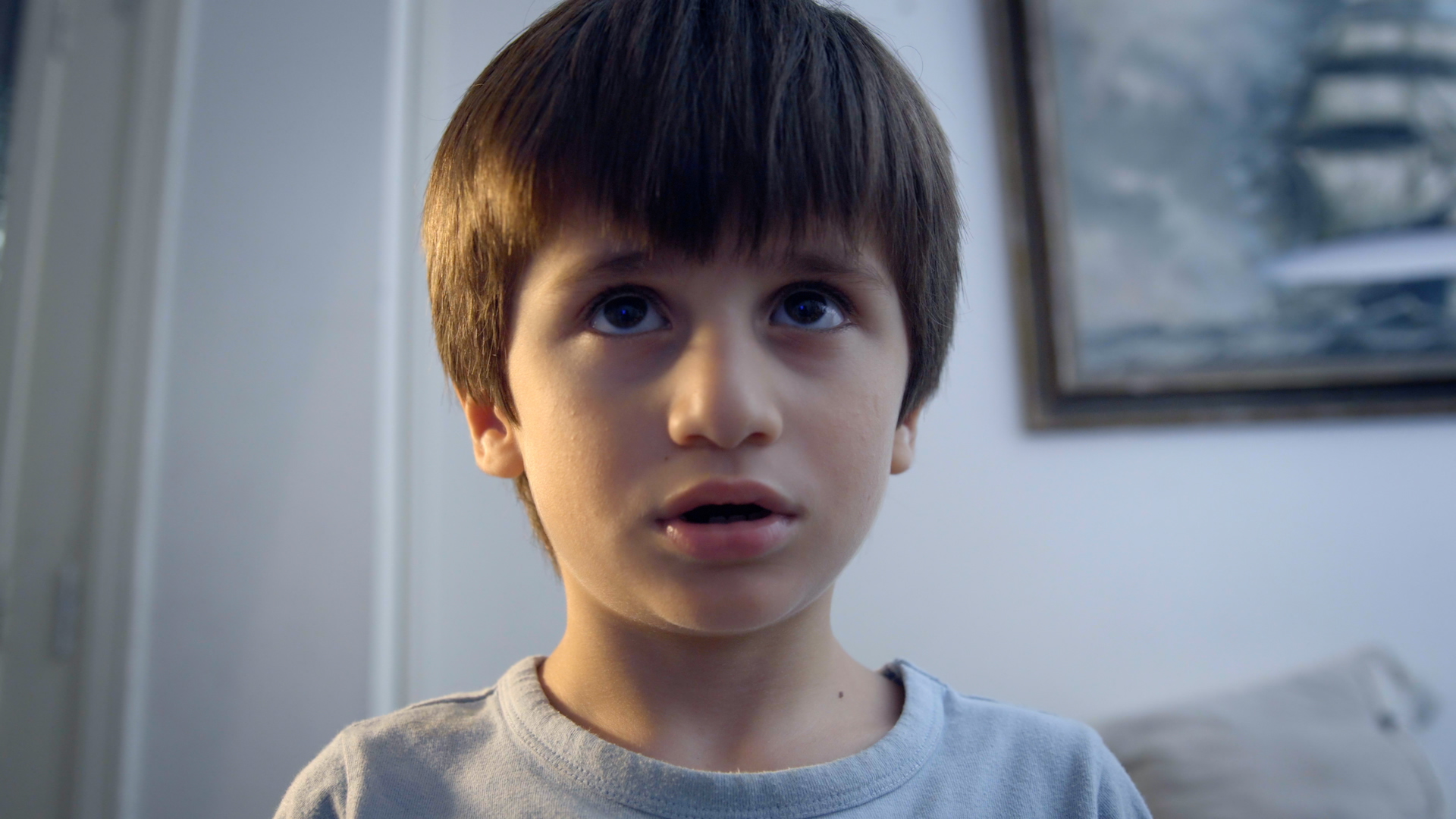 There are no lions on mars